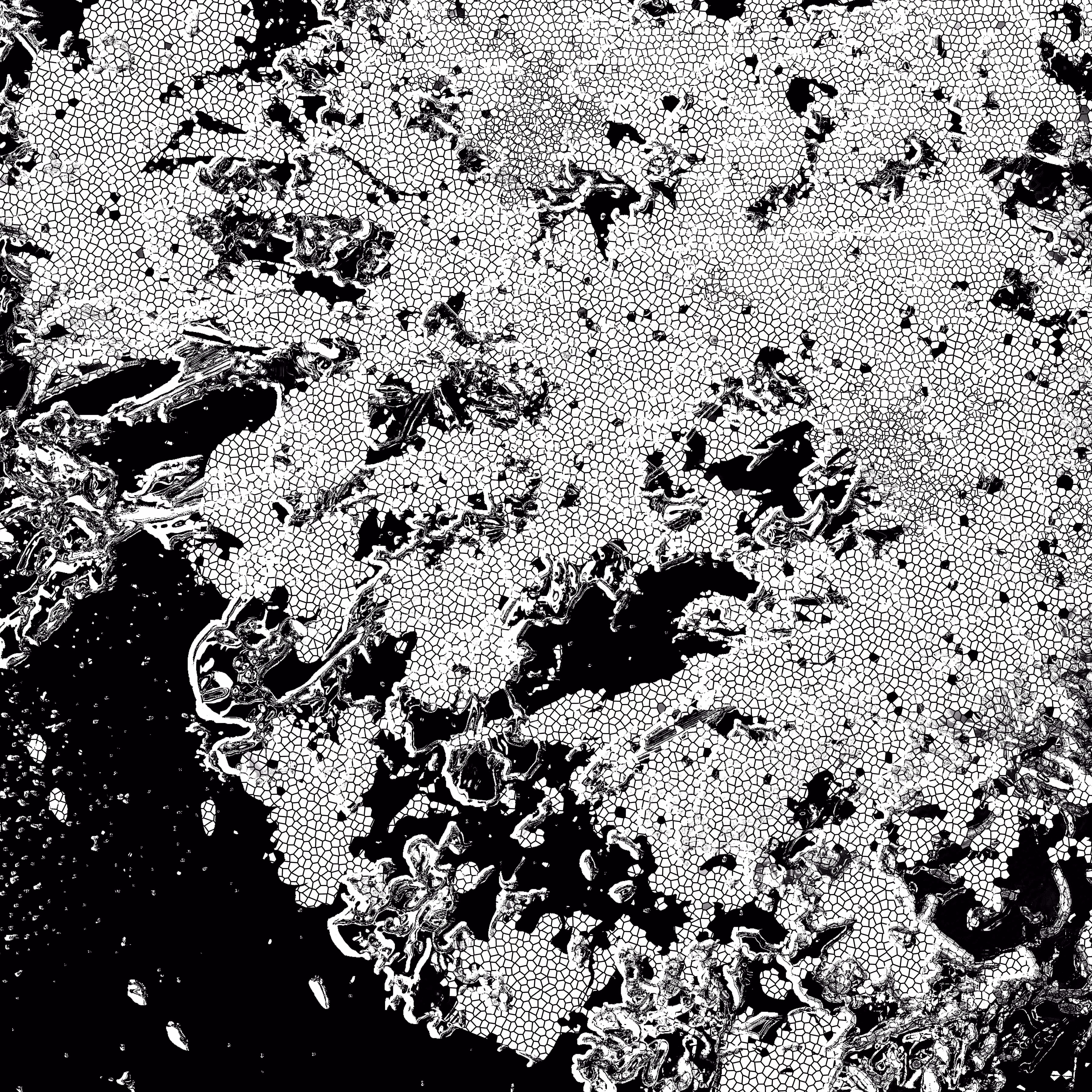 shadow #48