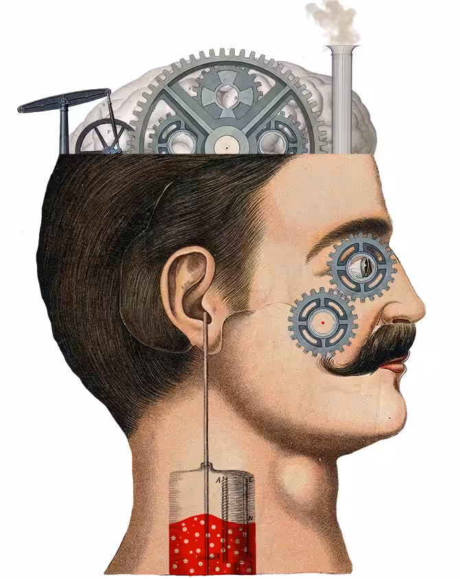 MECHANICAL HEAD (Testone meccanico)