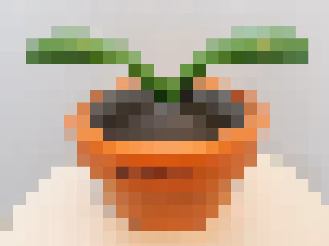 Pixel plant