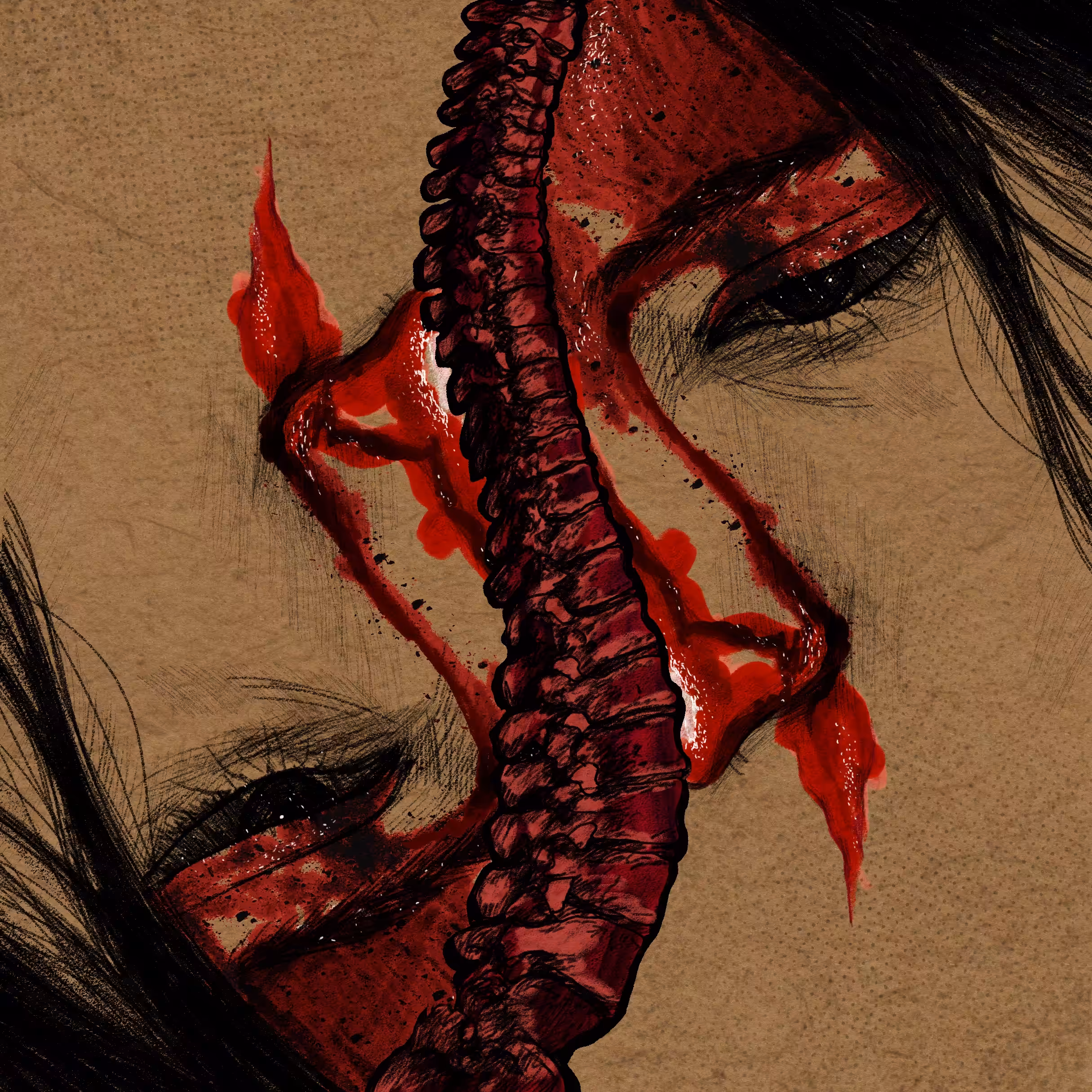 backbone