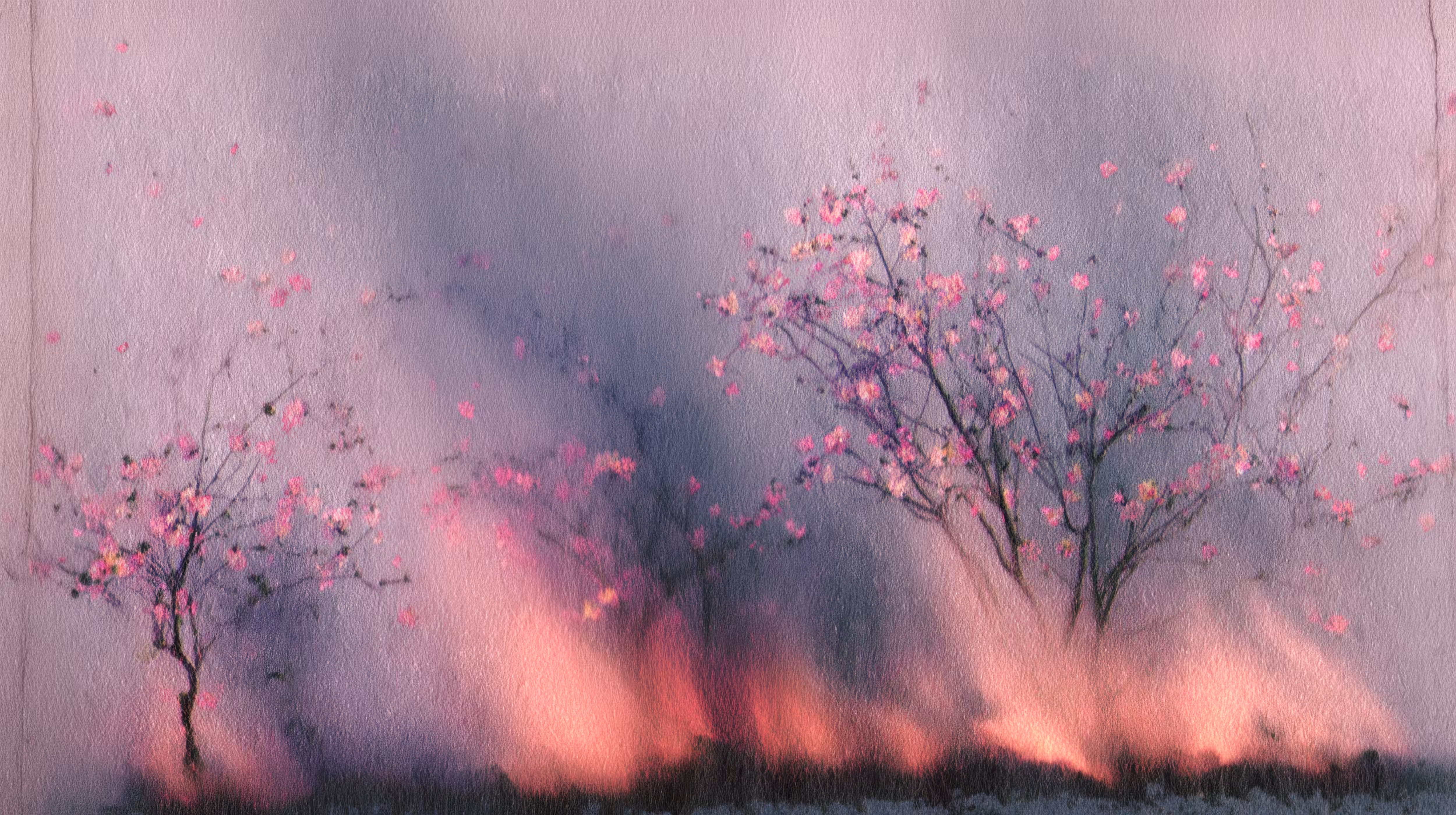 Pink Season