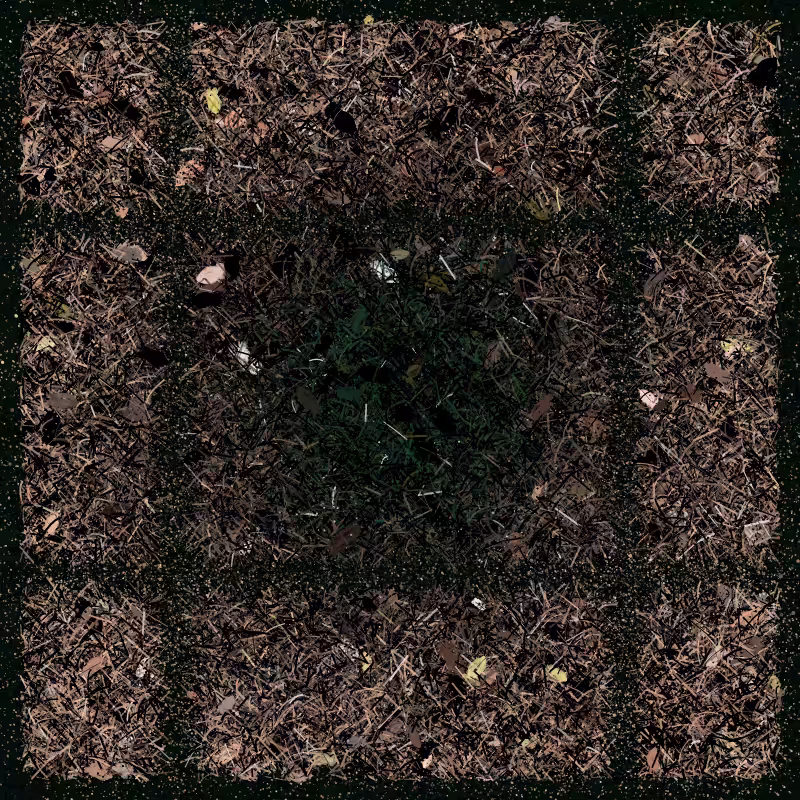 Into the Forestland #36