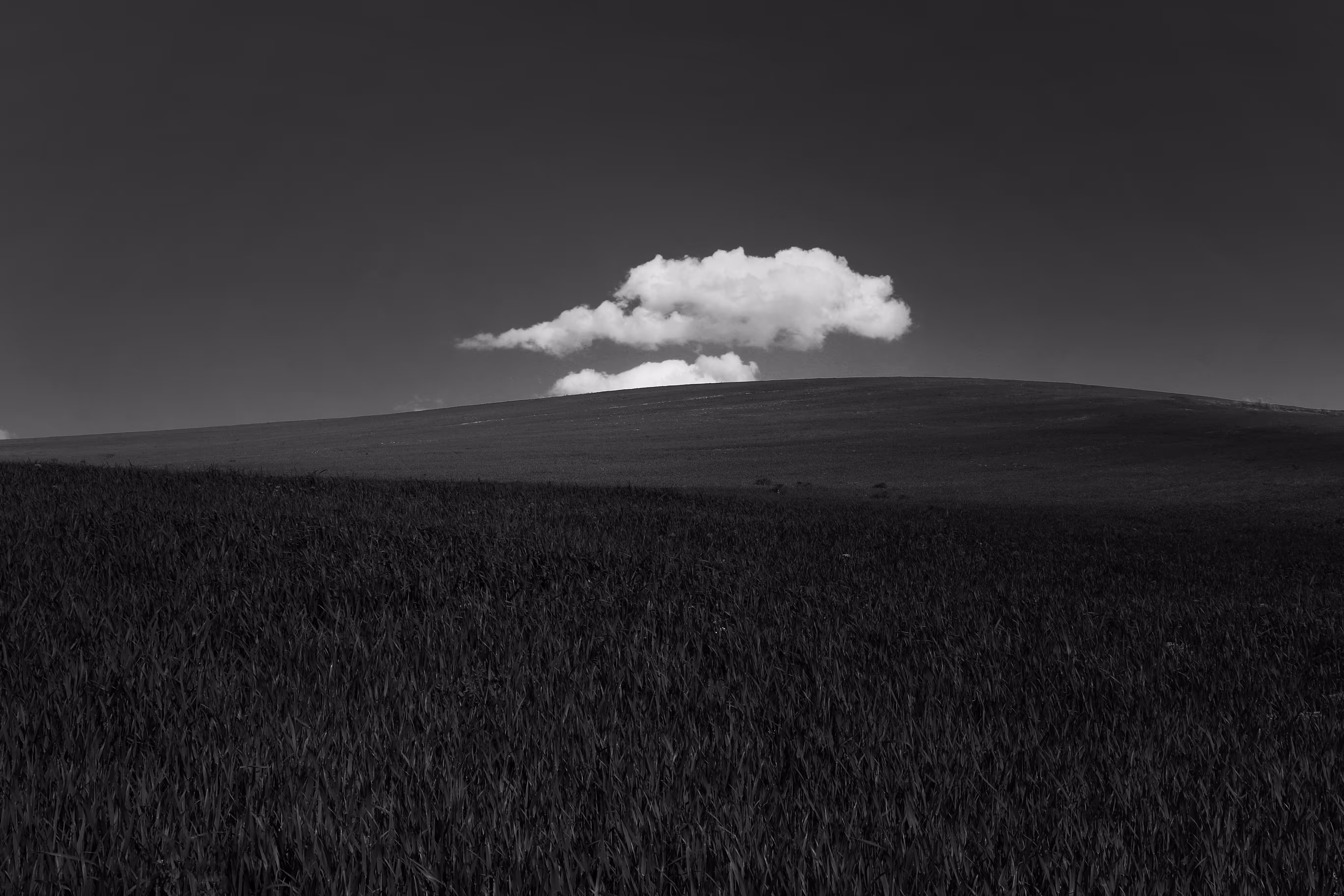 White cloud