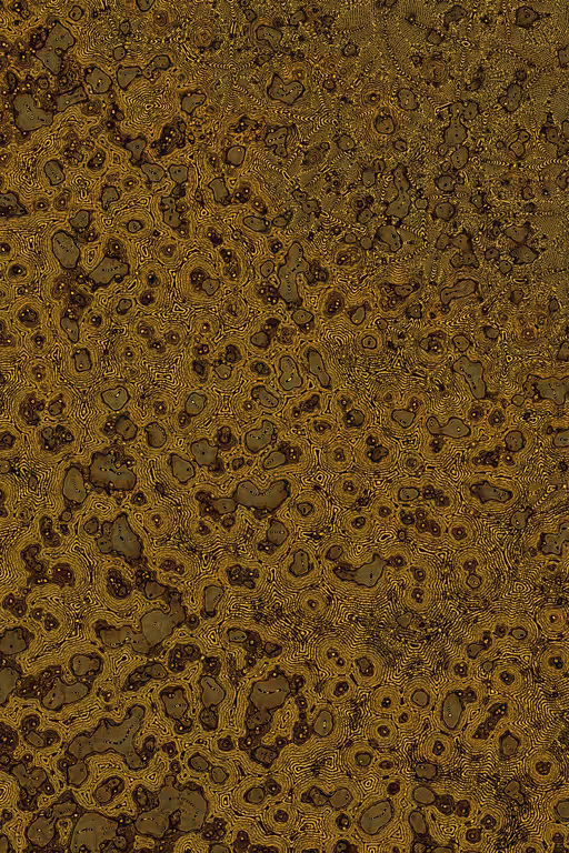 Dactylogram #3