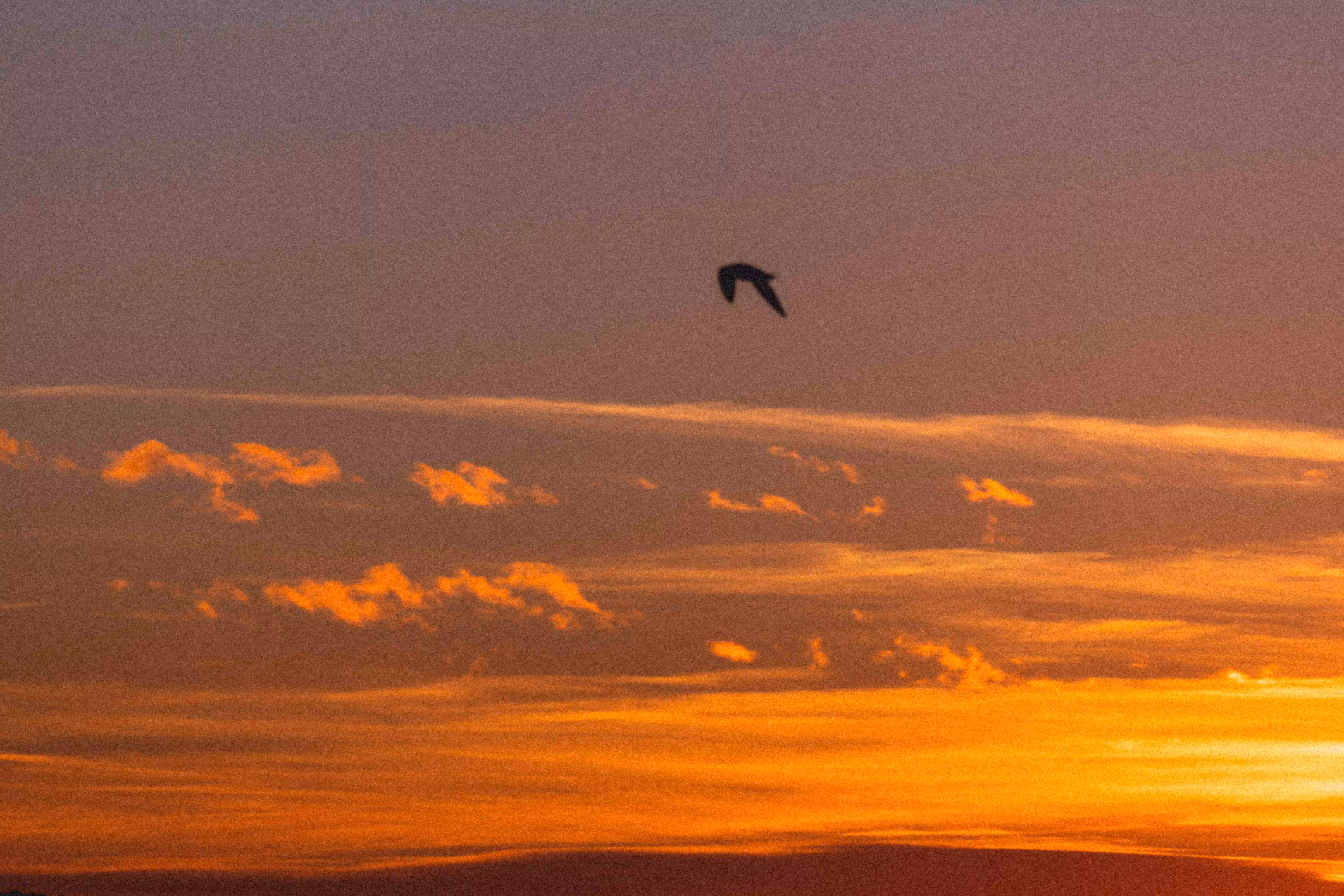 above