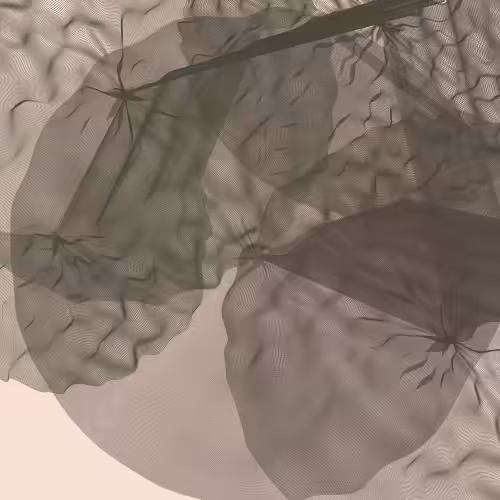 Lillypads #14