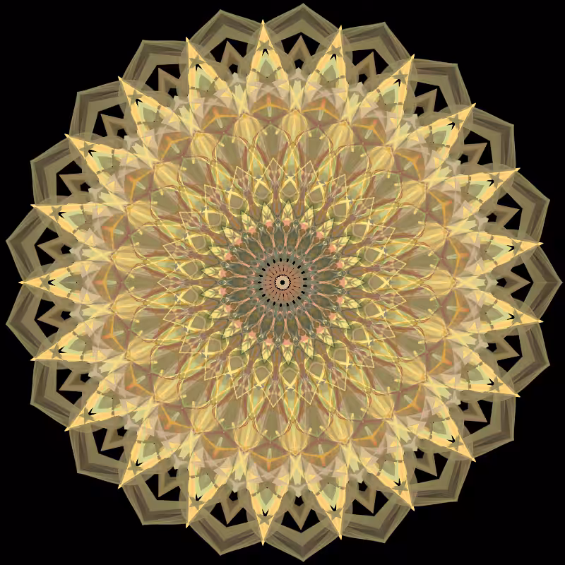 Morphing Mandala - #fxhashturnsone charity #30