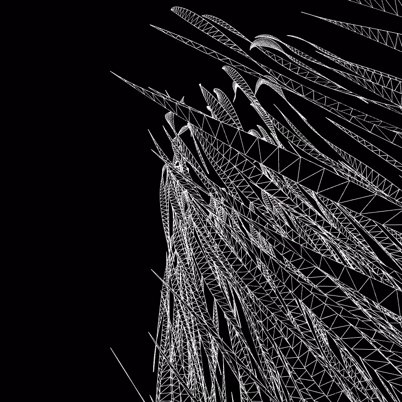Paths of life #15
