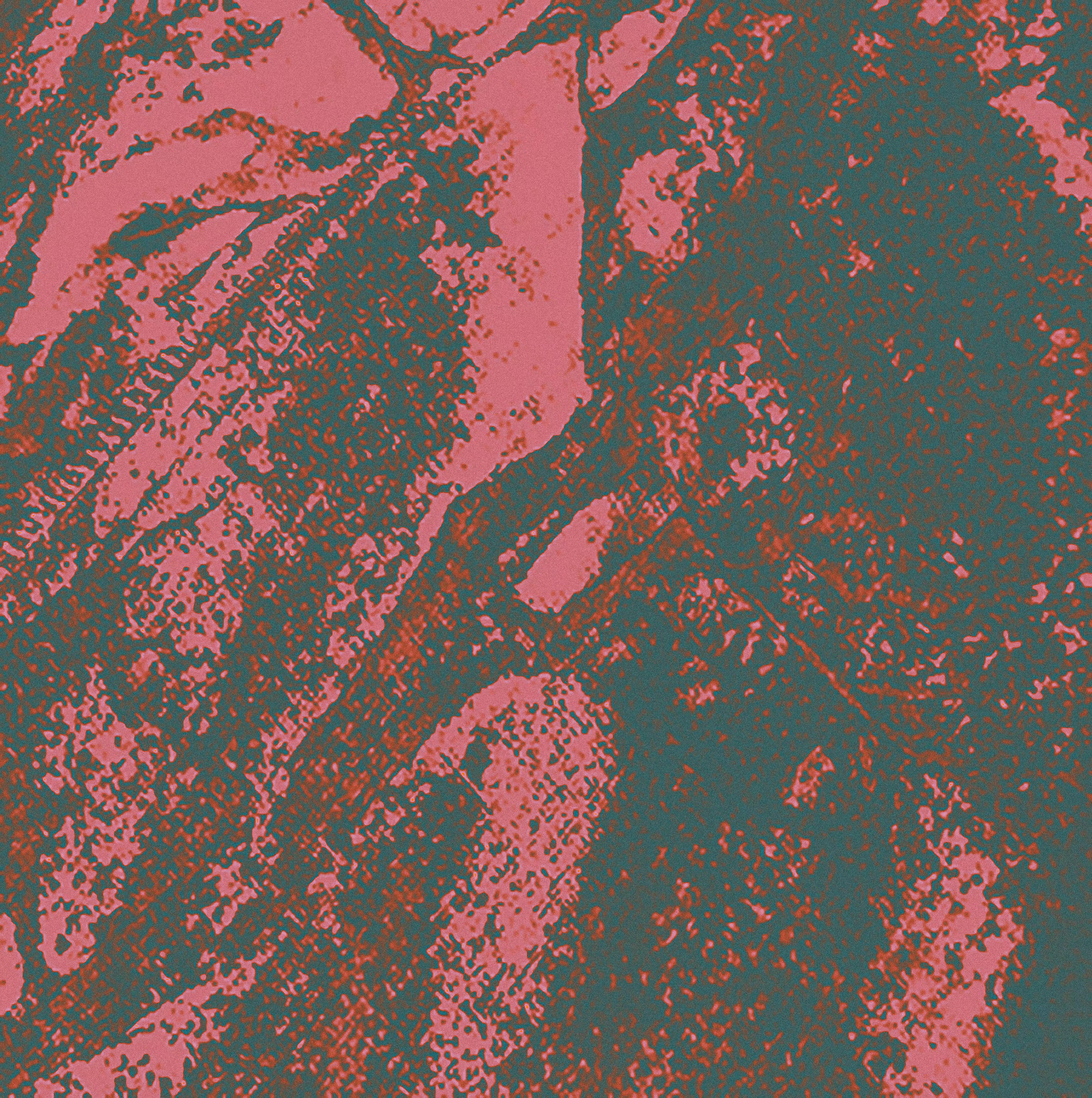 A pink depth 