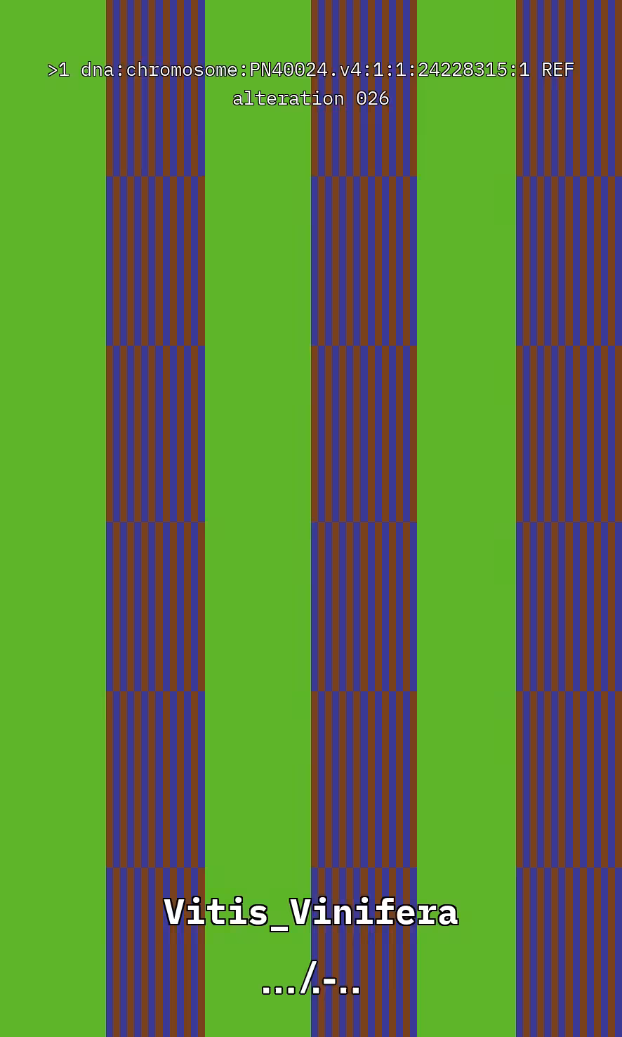 Vitis DNA Alteration #26