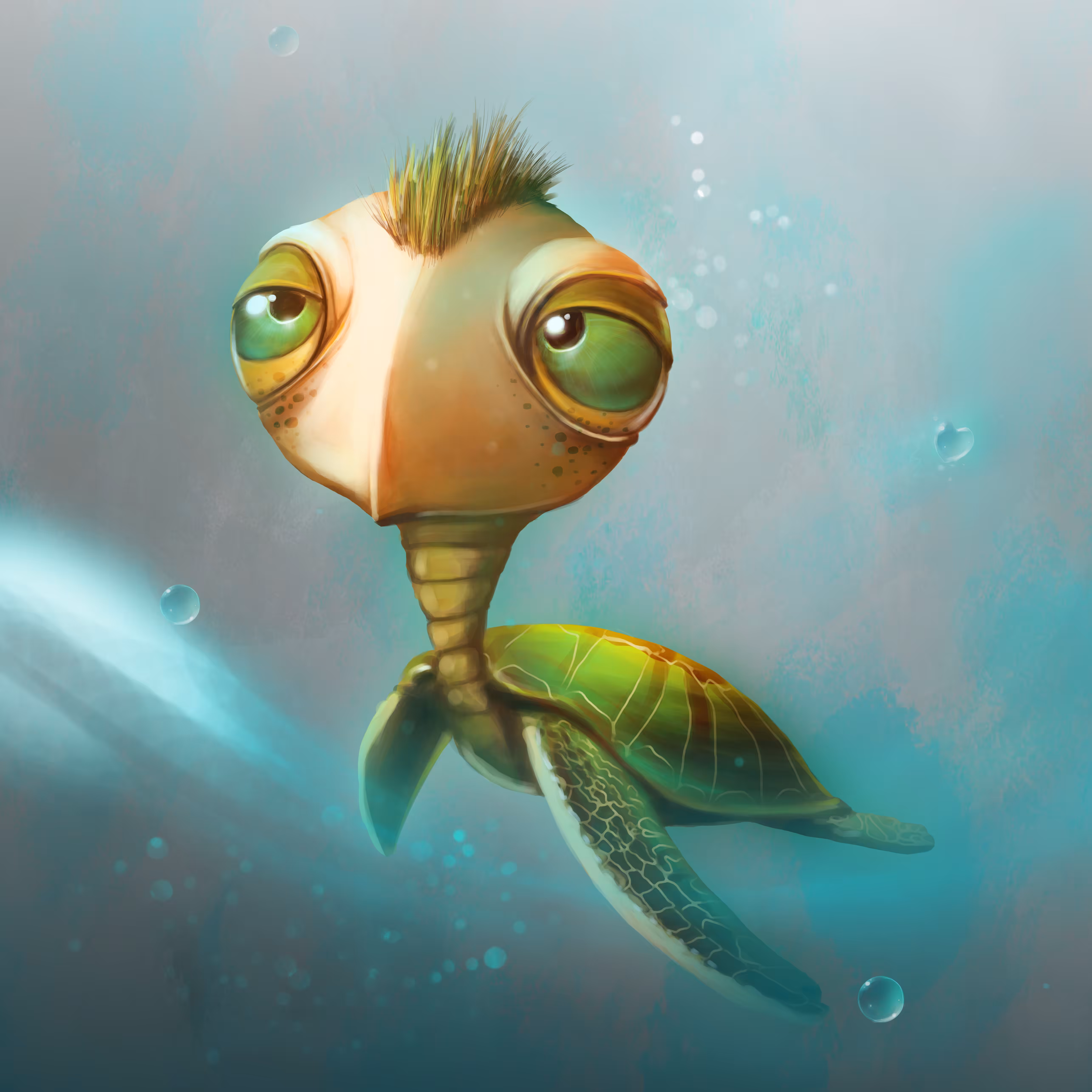 Pacific Sea Turtle