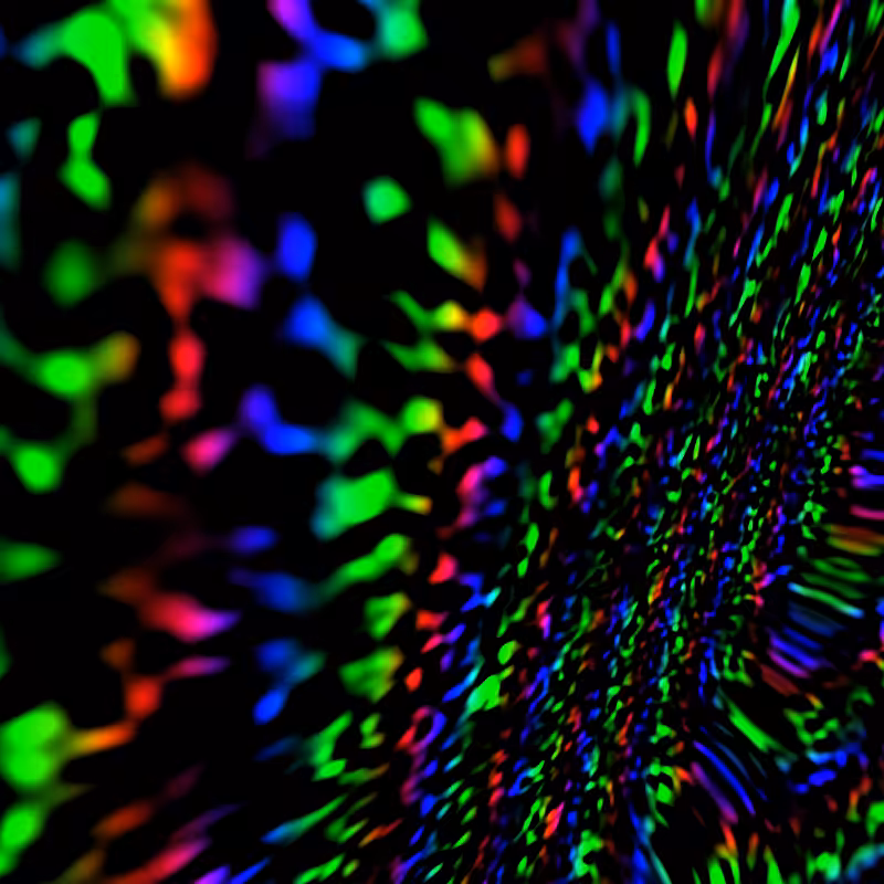 Quantum #17