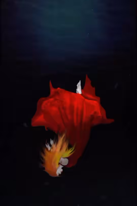 She's Gone