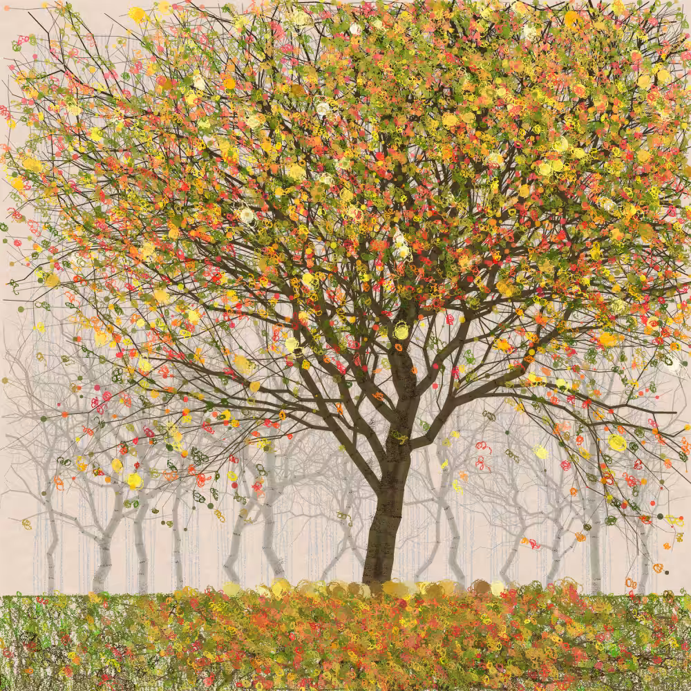 Orchard #202