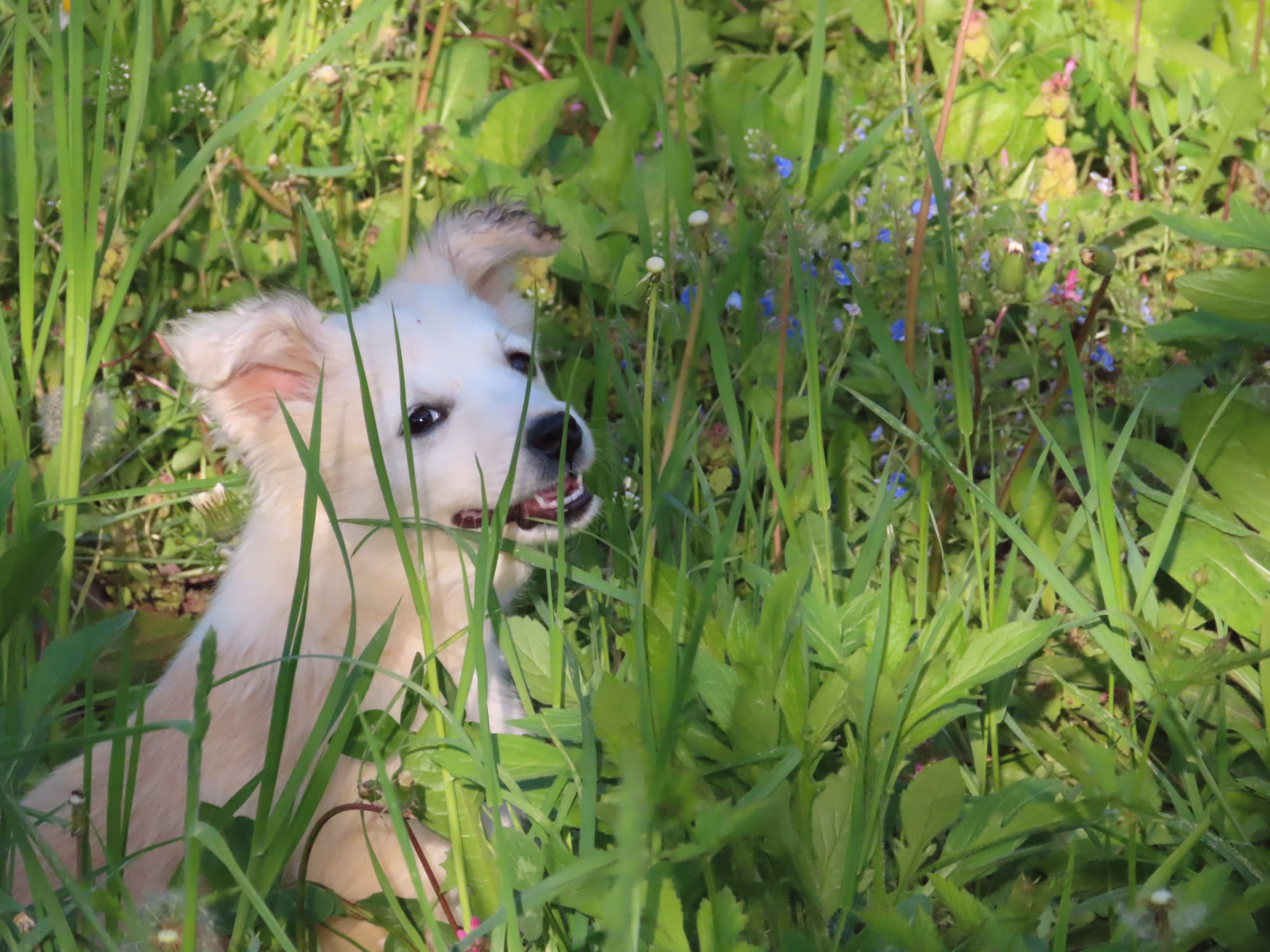 Simba Sends her love.