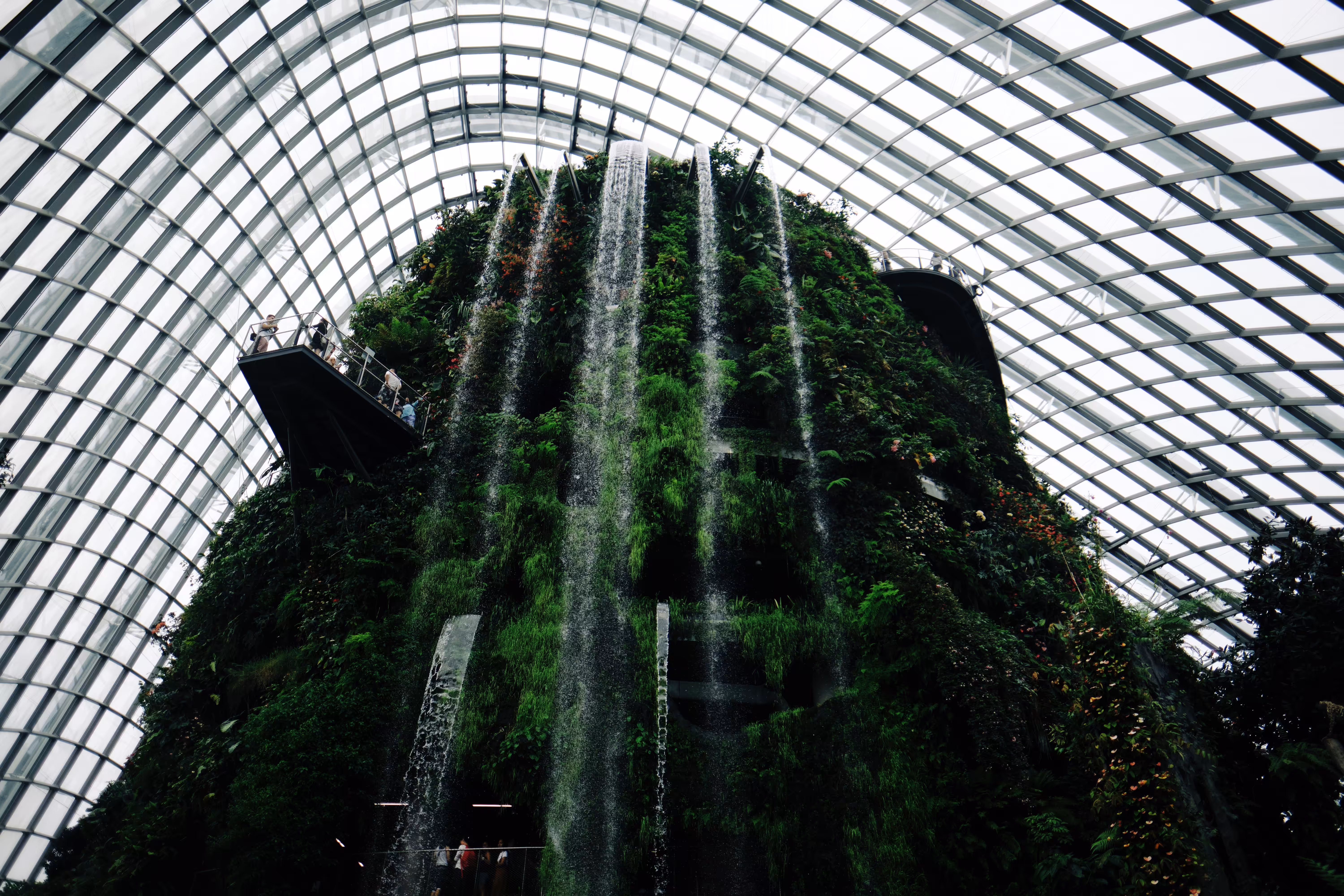 Urban Oasis