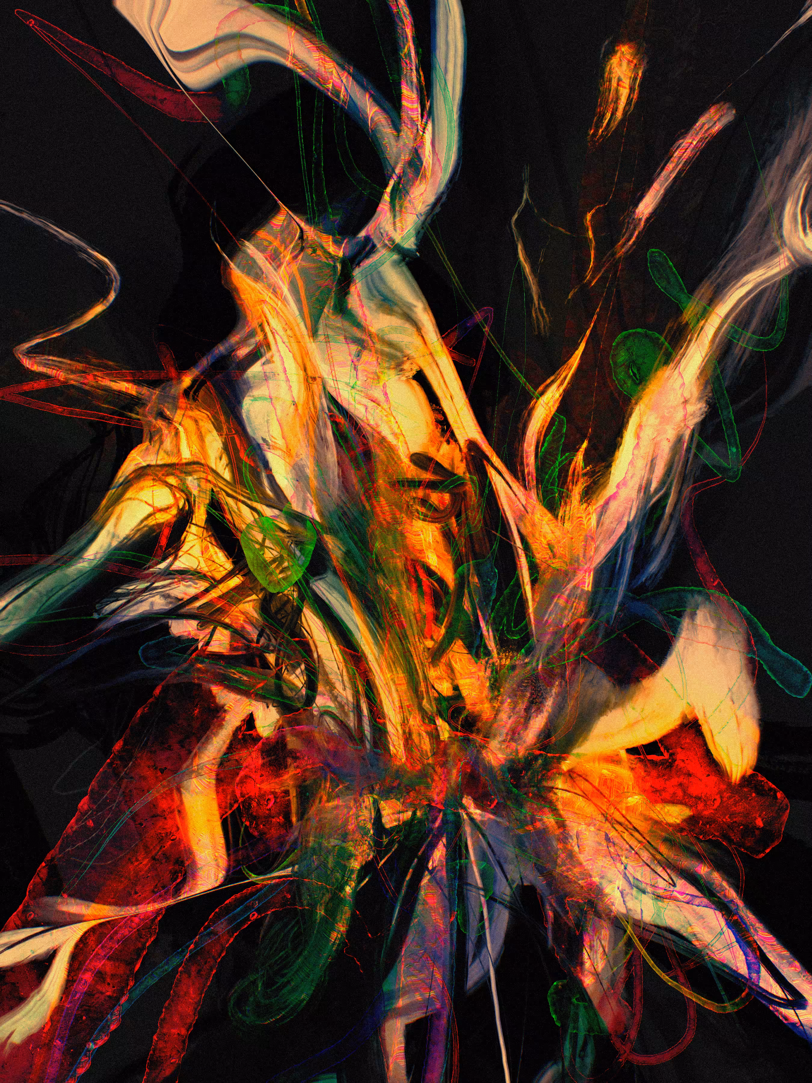 Randomized Trajectory 01