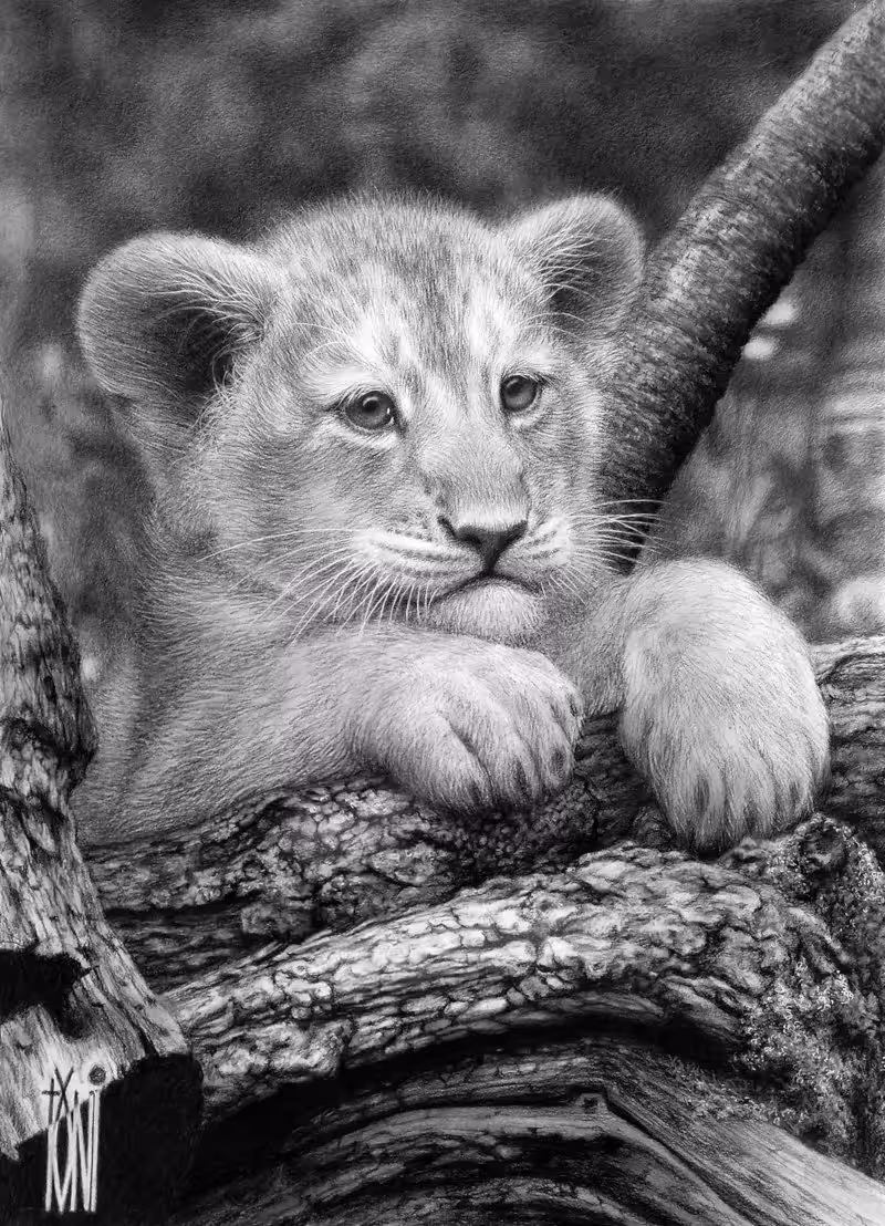 Nala