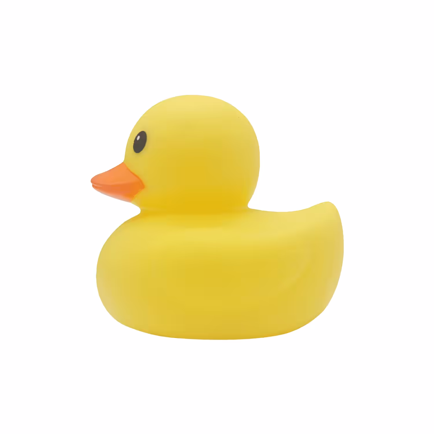 100 Everyday Items: Rubber Duck