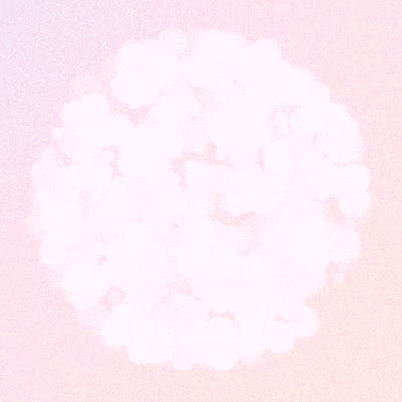 Furbol #336