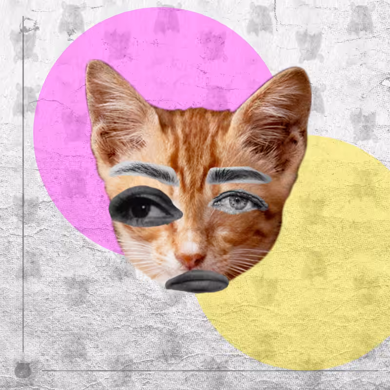 Kittenstein #35