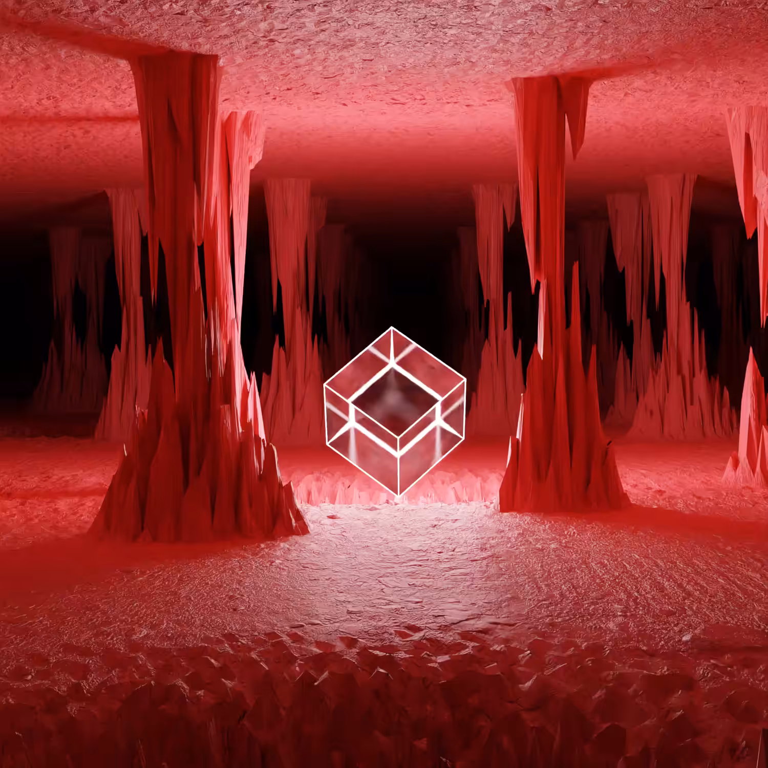 THE CUBE // DAY 1