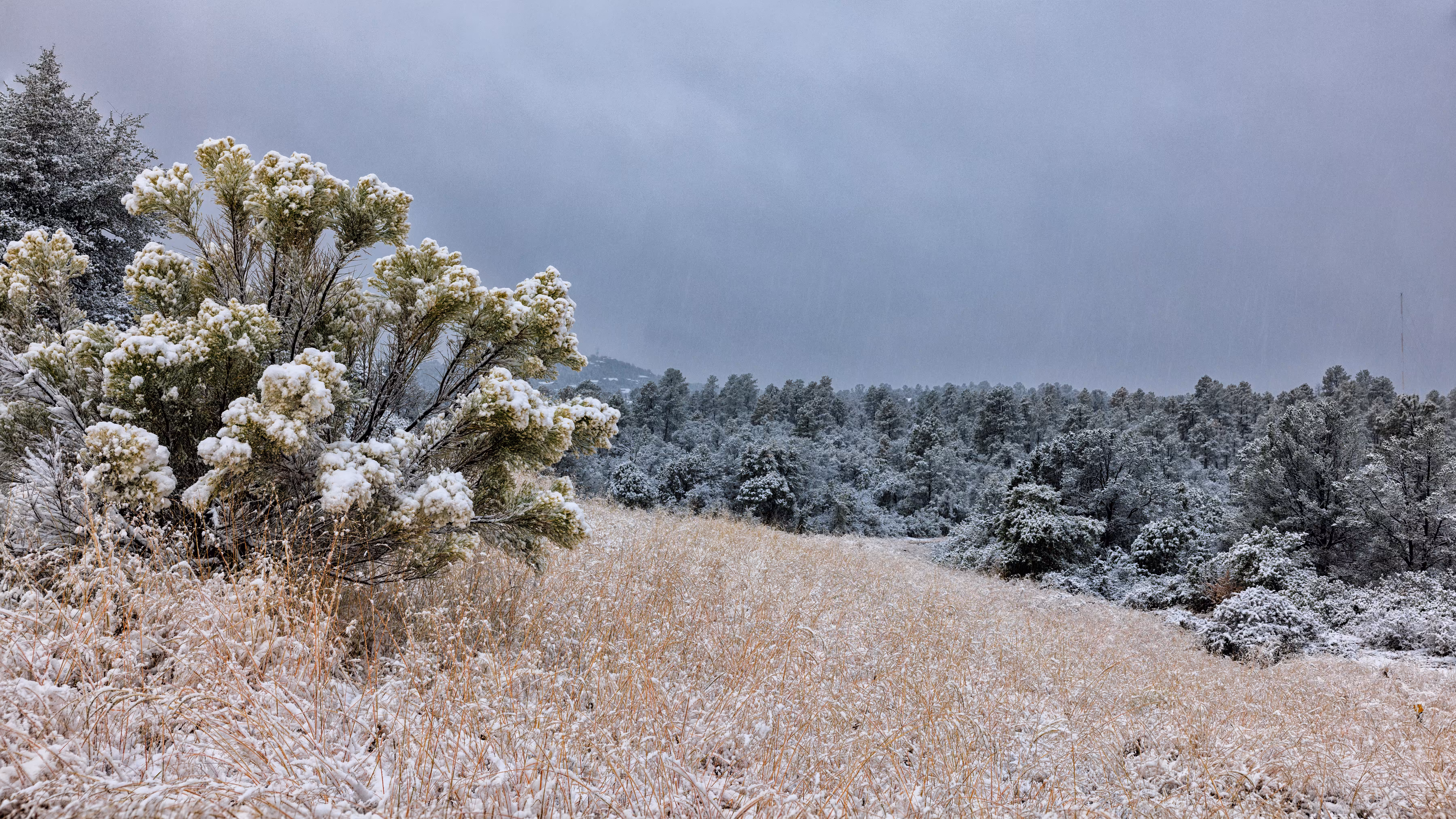 First Dusting