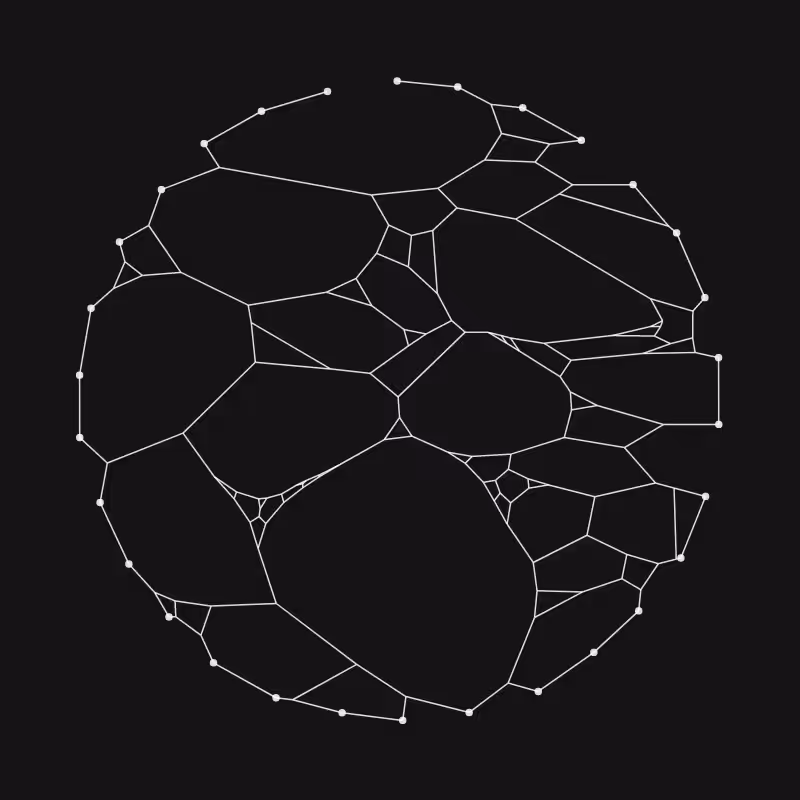 Elastic Web #306
