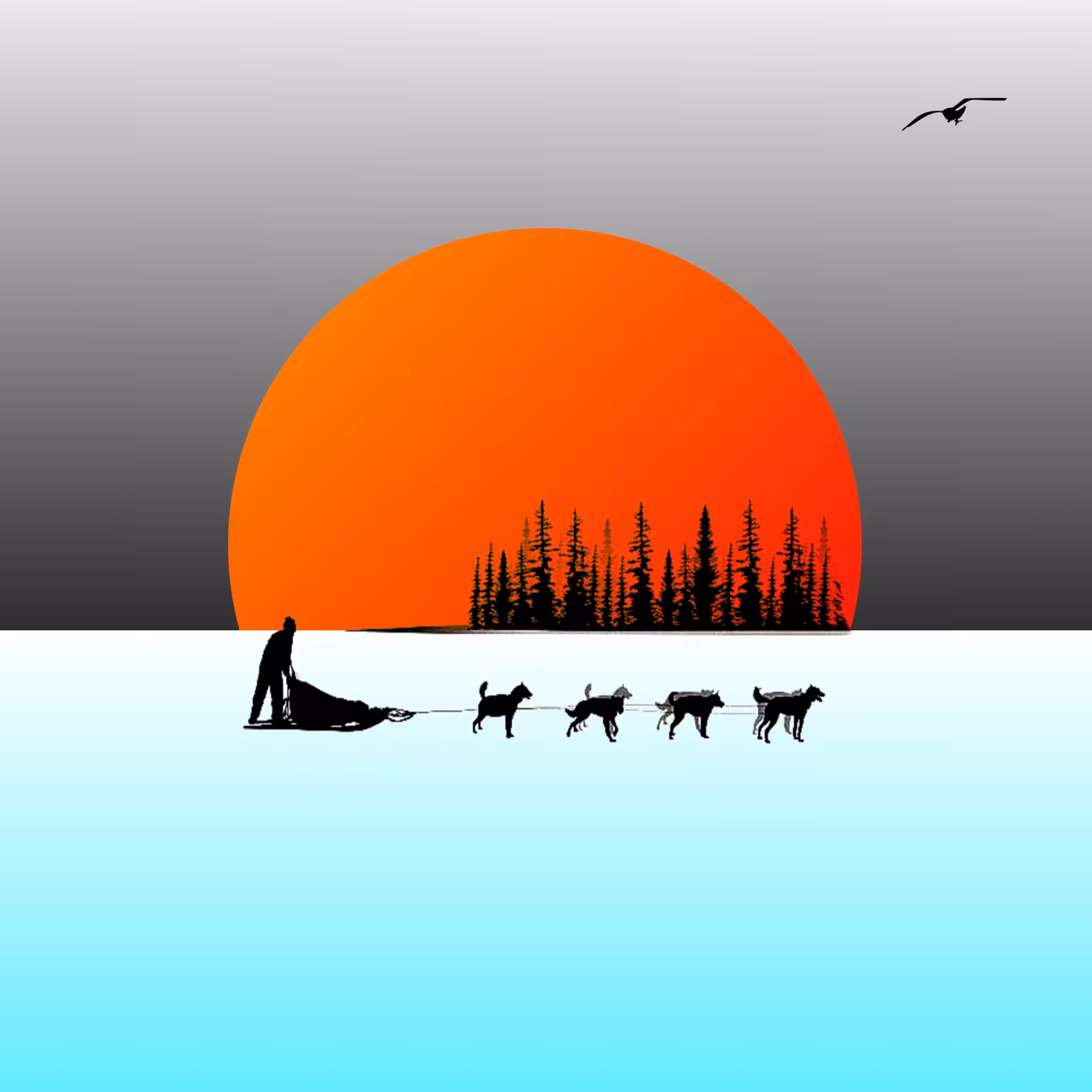 Horizon 5