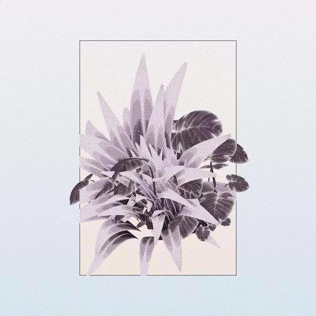 Botany #289