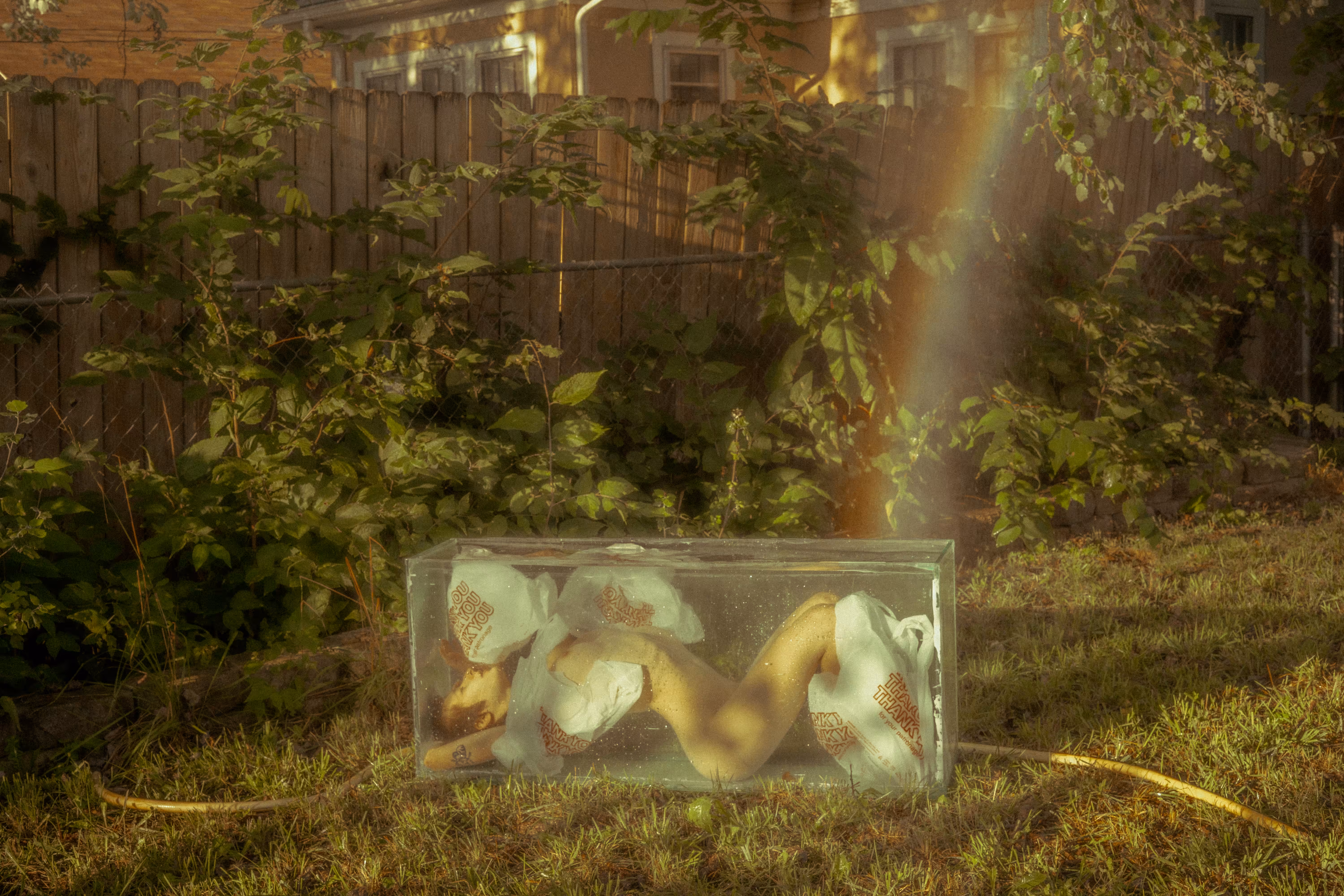 Dreams of Glass and Water