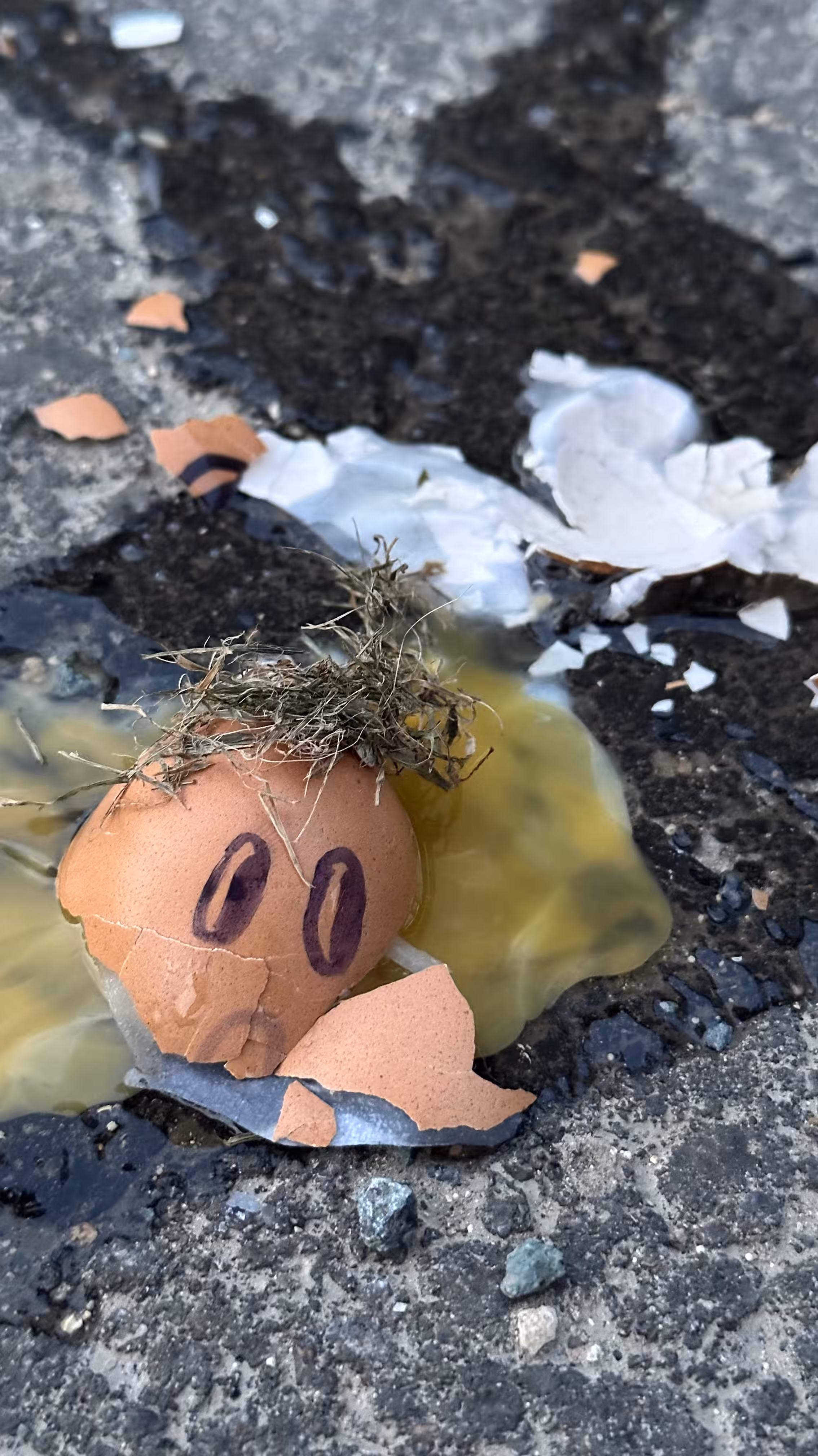 Egg Go “Scrambled egg”