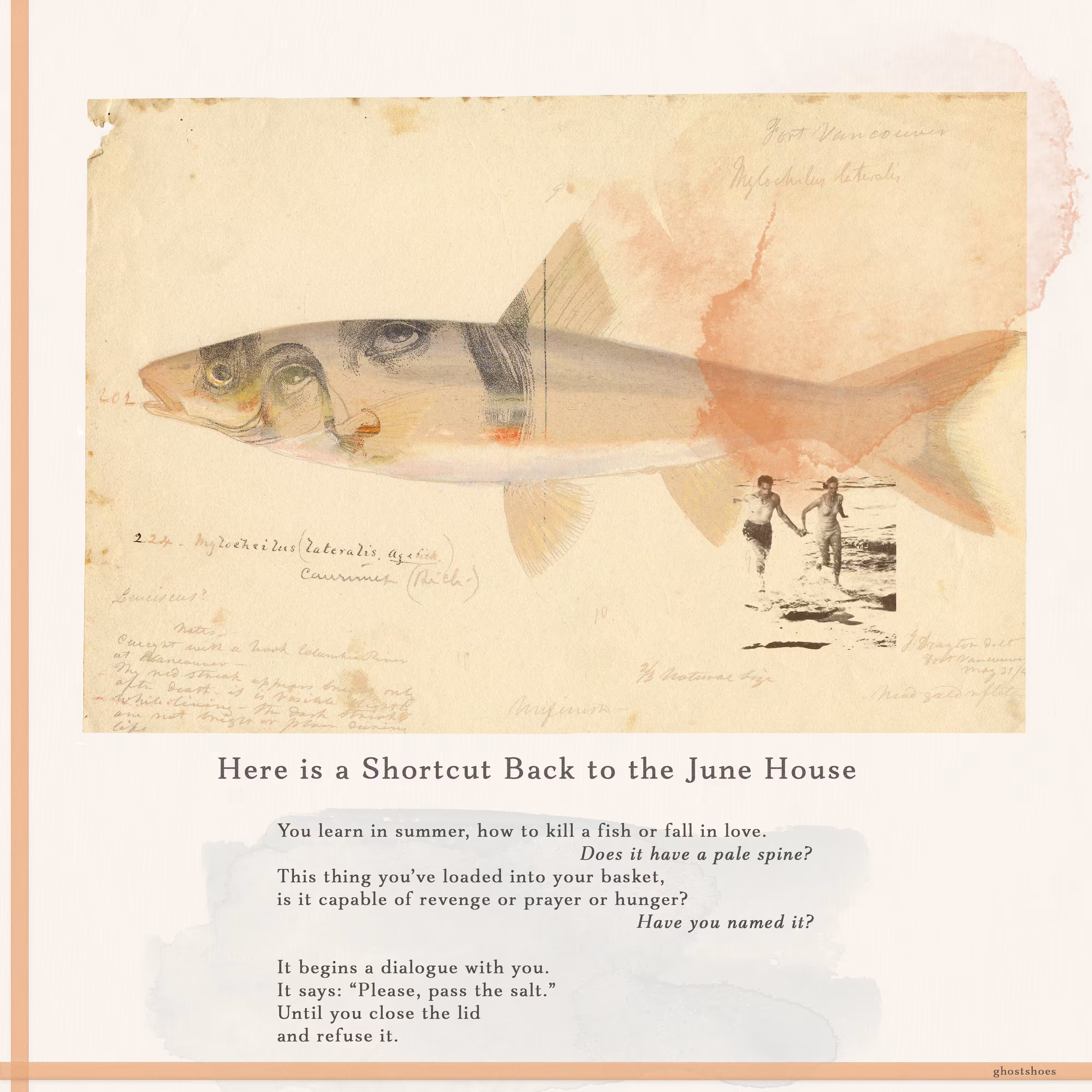 Here is a Shortcut Back to the June House