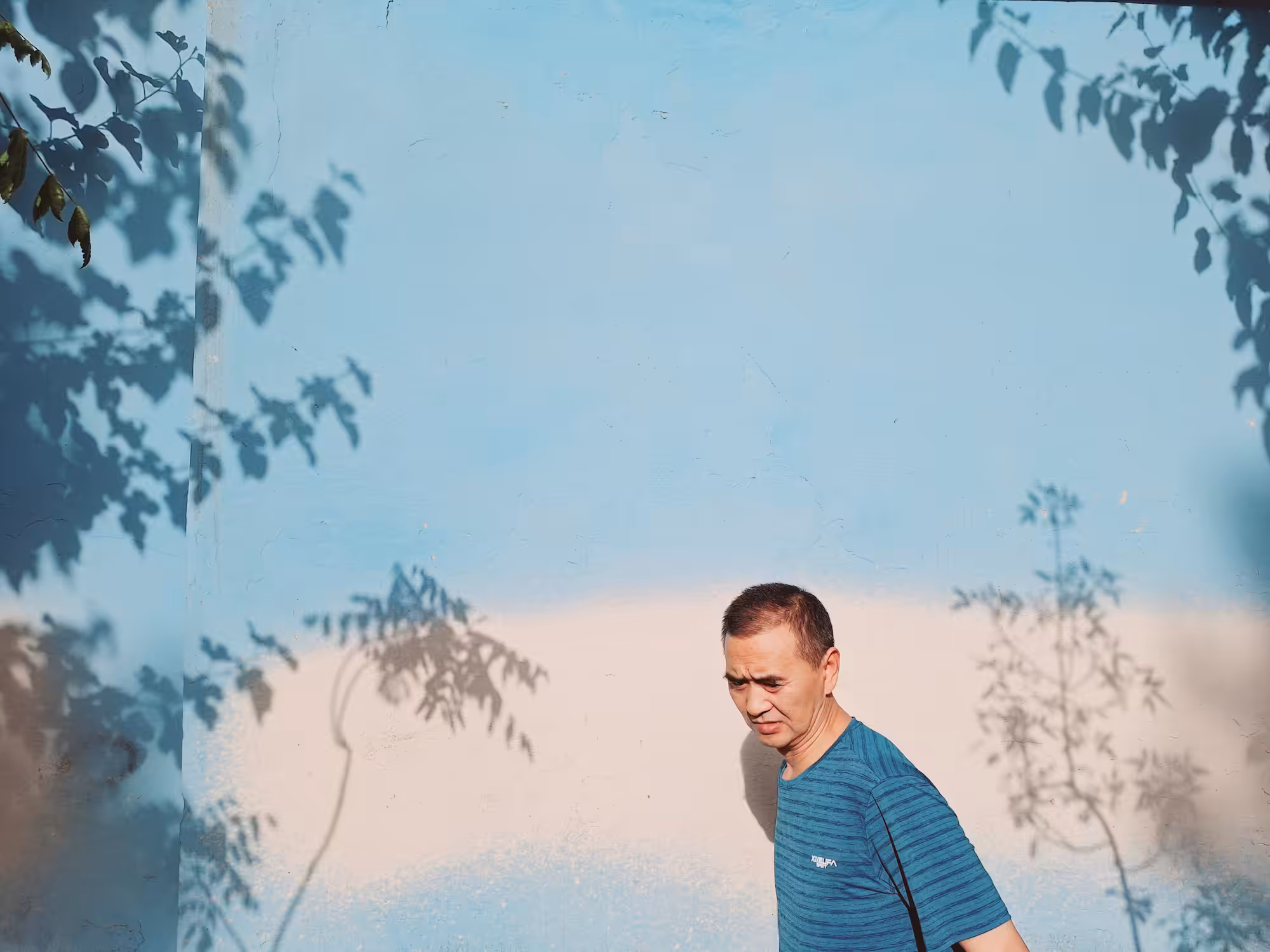 Shadows Of Blue 