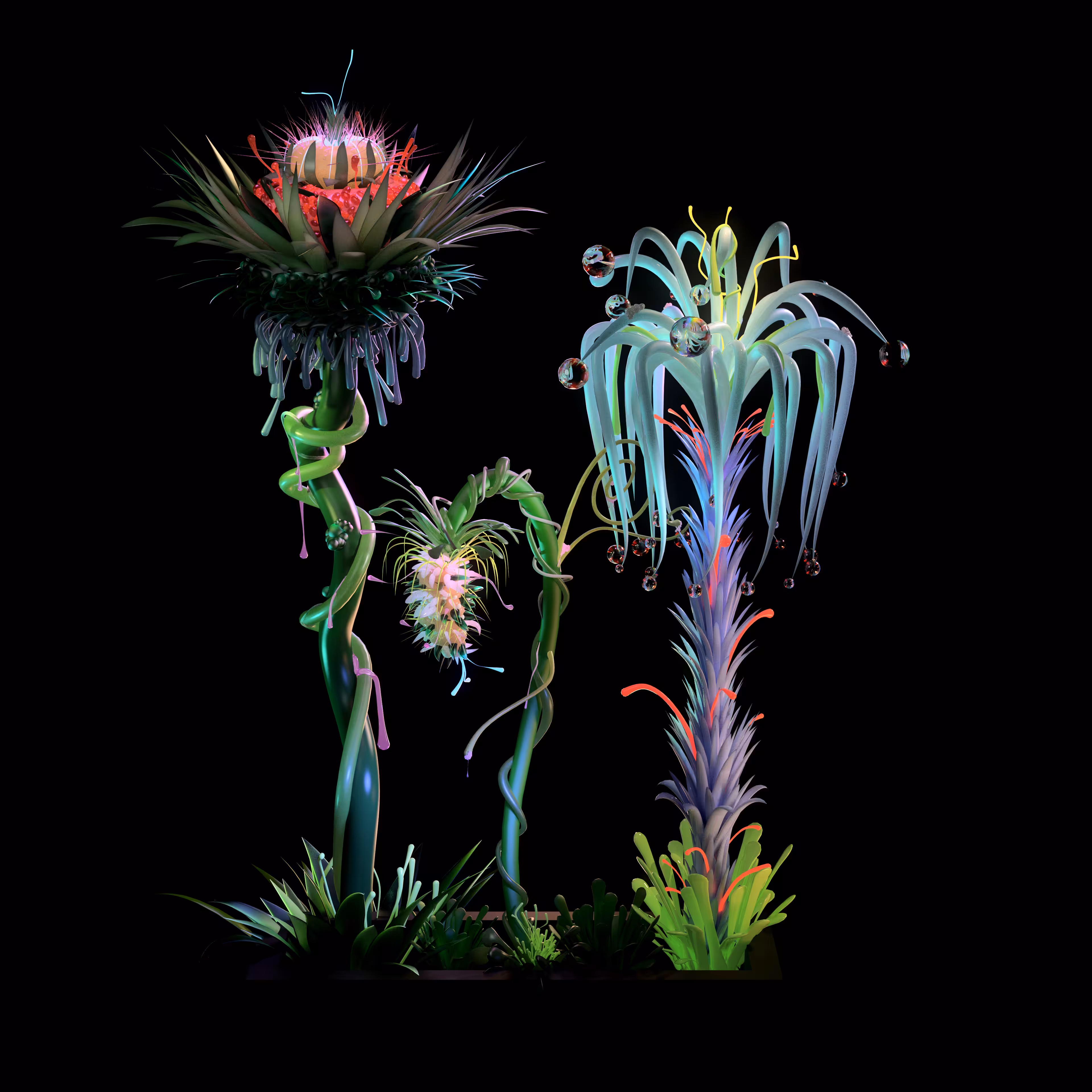 Digital Garden 