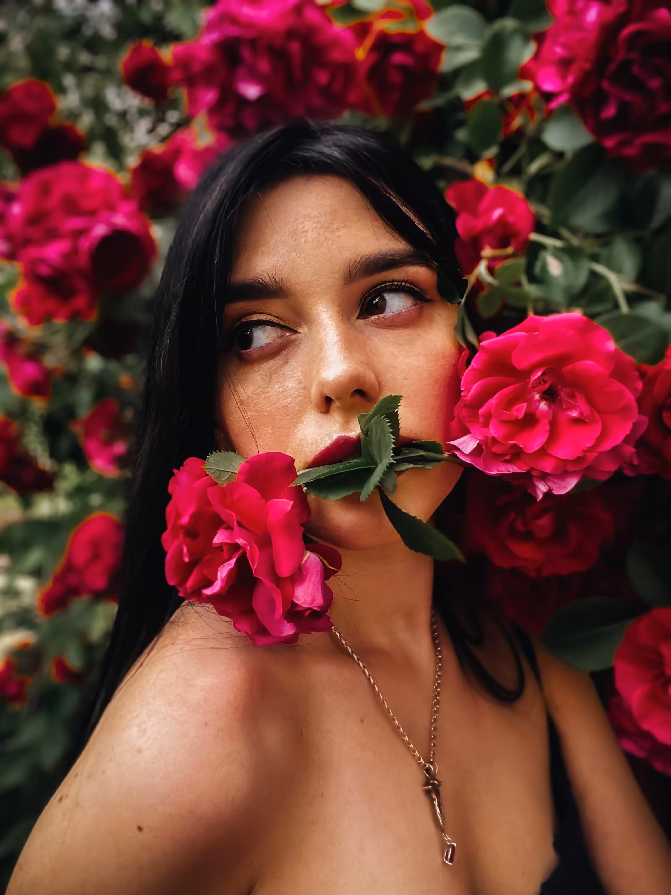 Life is Life: Blooming beauty