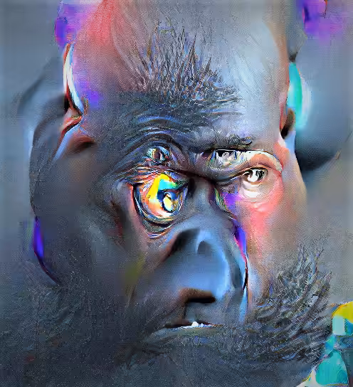 MDR: Deconstructed Gorilla - MDR 50/100