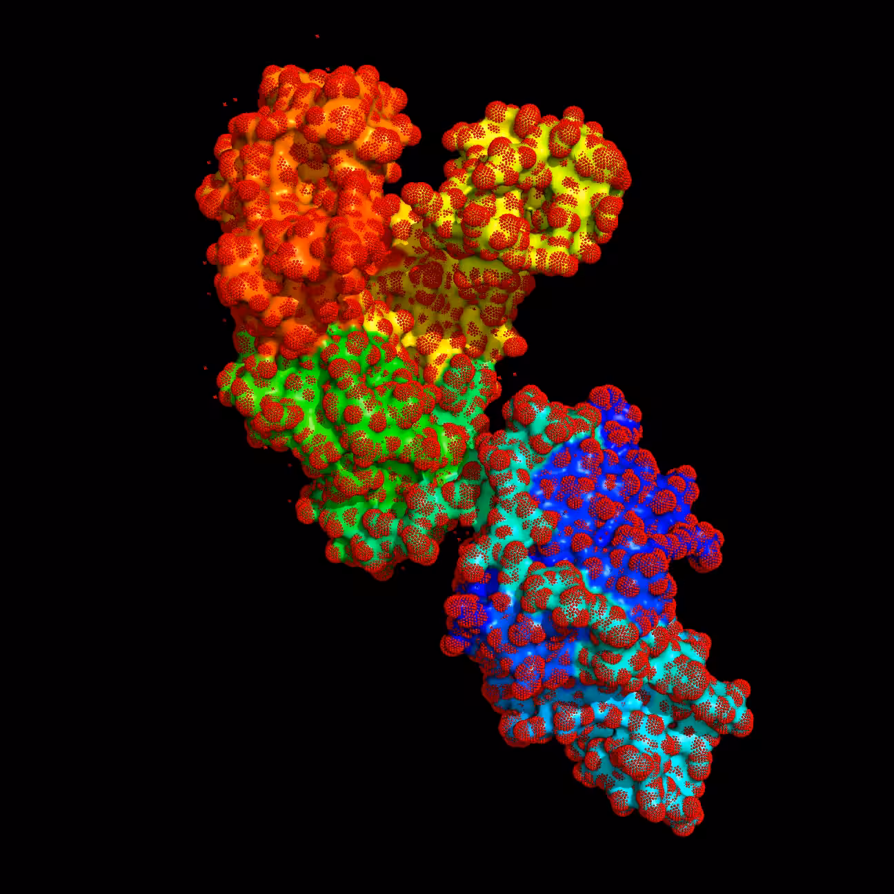 Prime Time – Taq polymerase spores