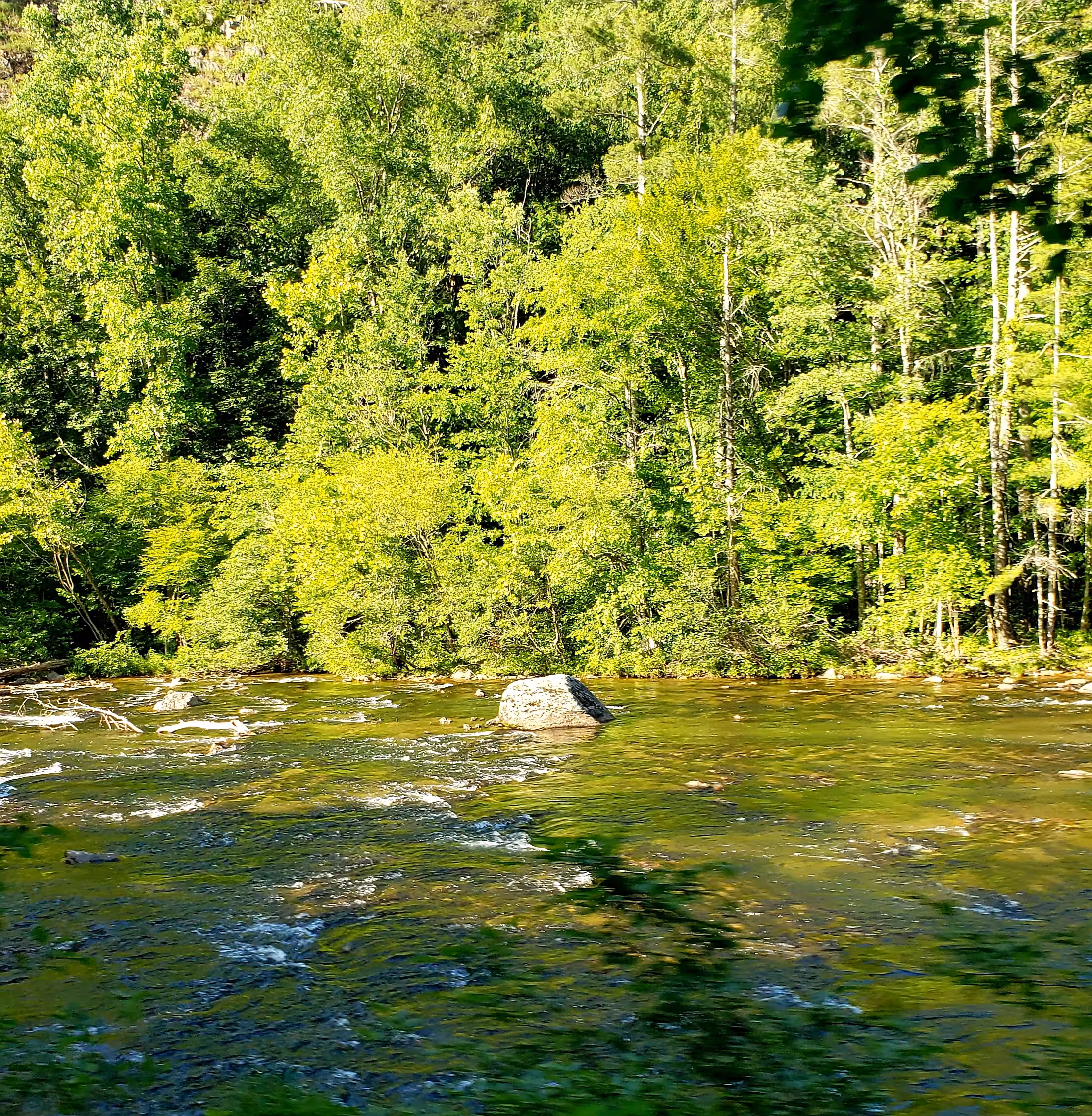Creek on the Cherohola Hwy