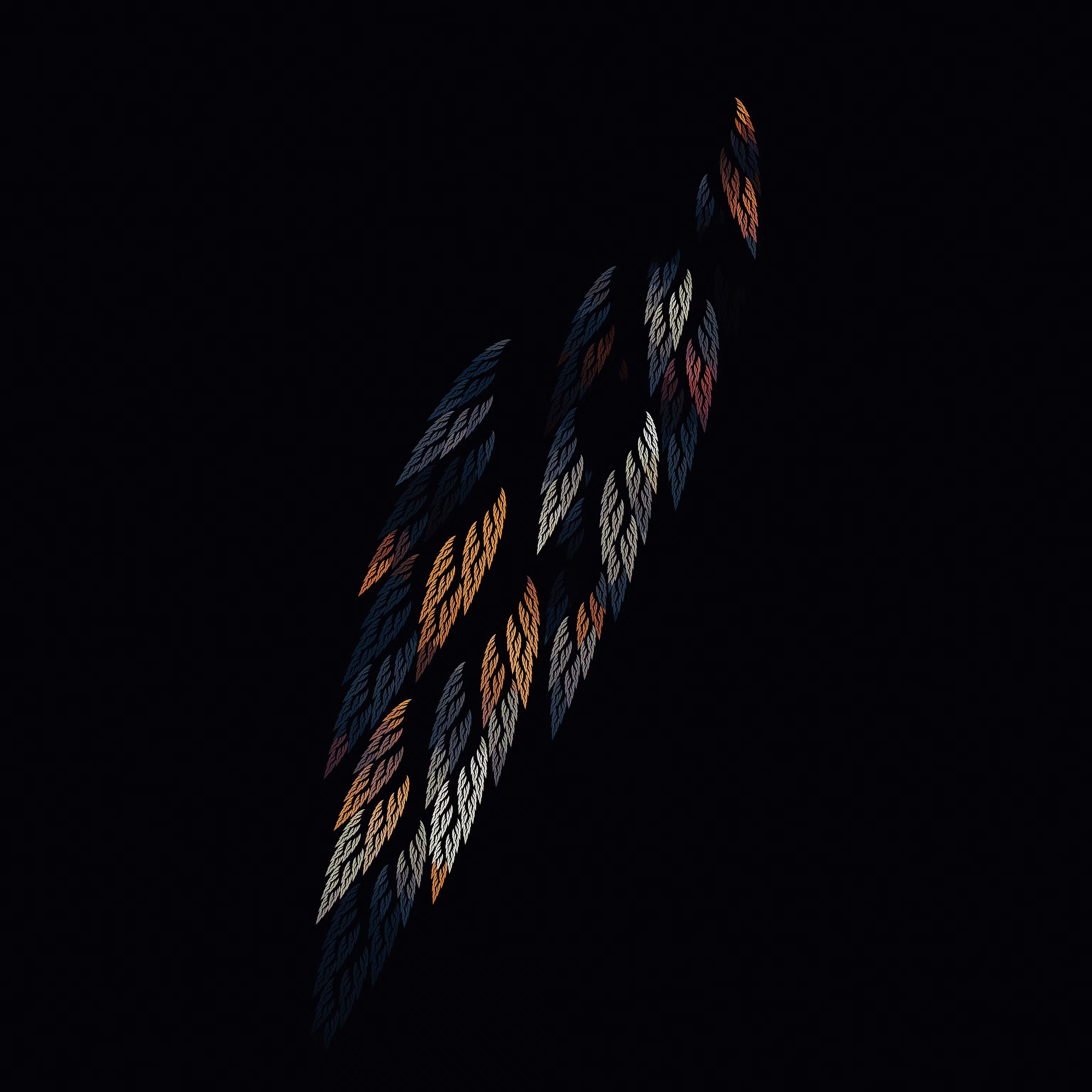 of a feather