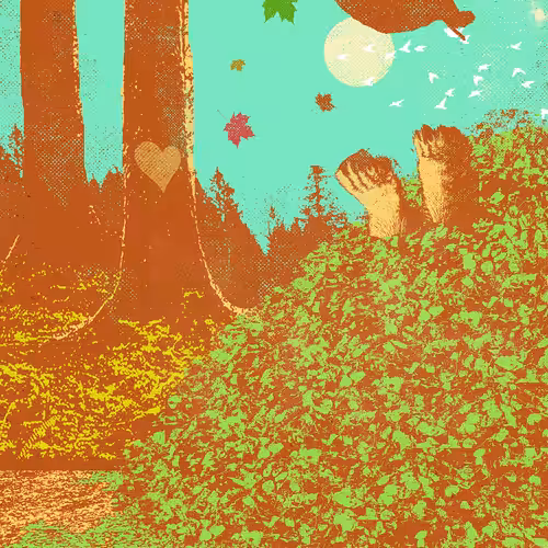 BEARS PLAYGROUND