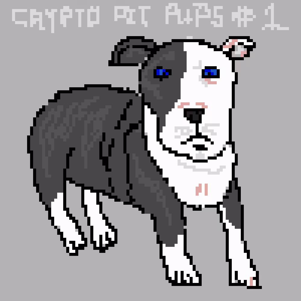 Crypto Pit Pups #1