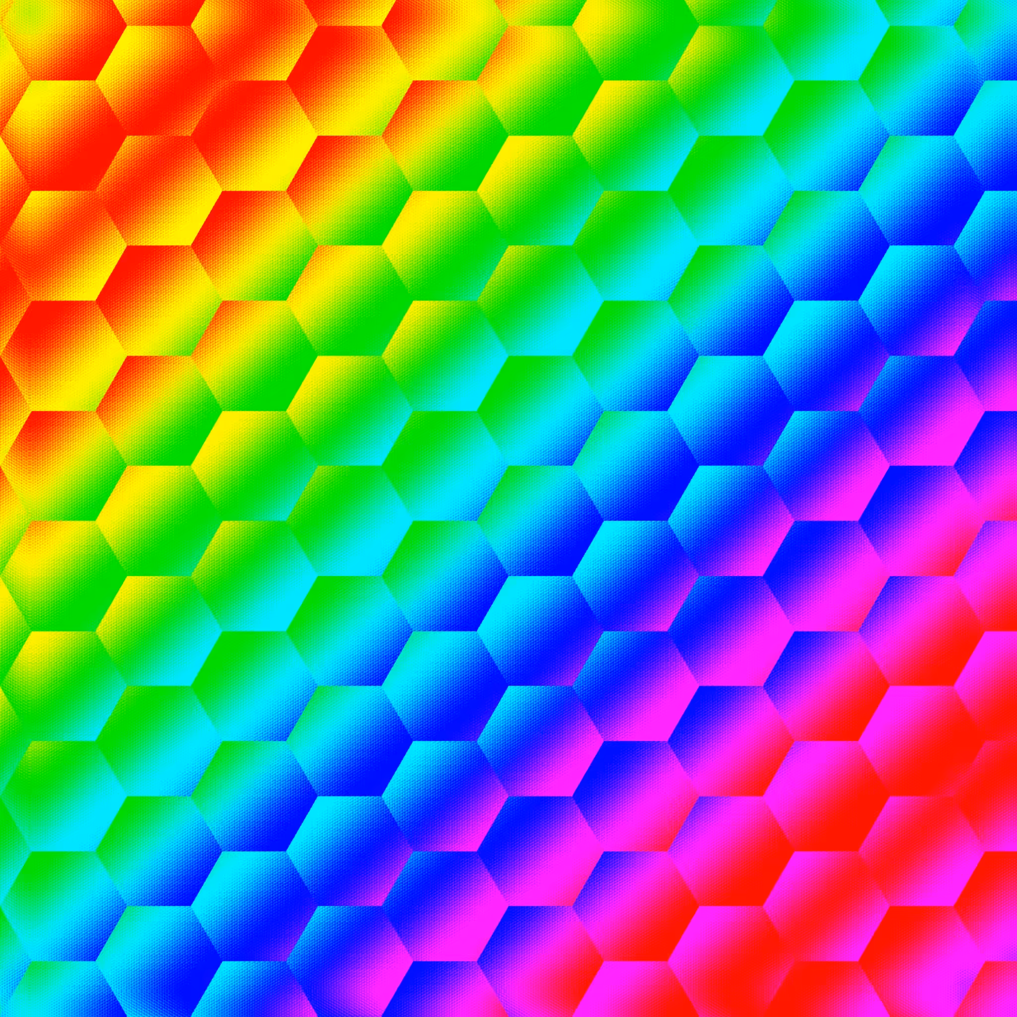 Rainbow Scales