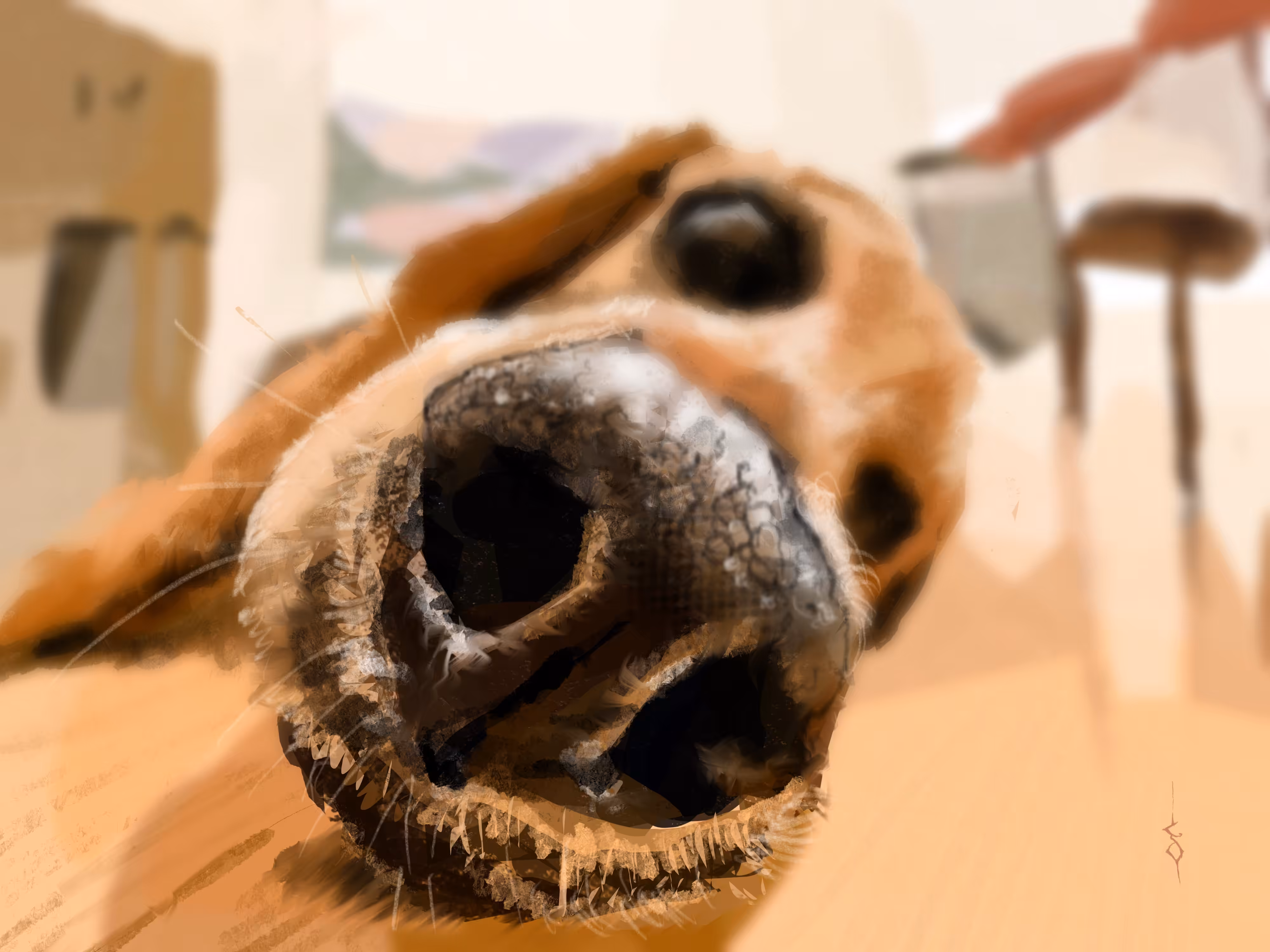 Comfy Canine
