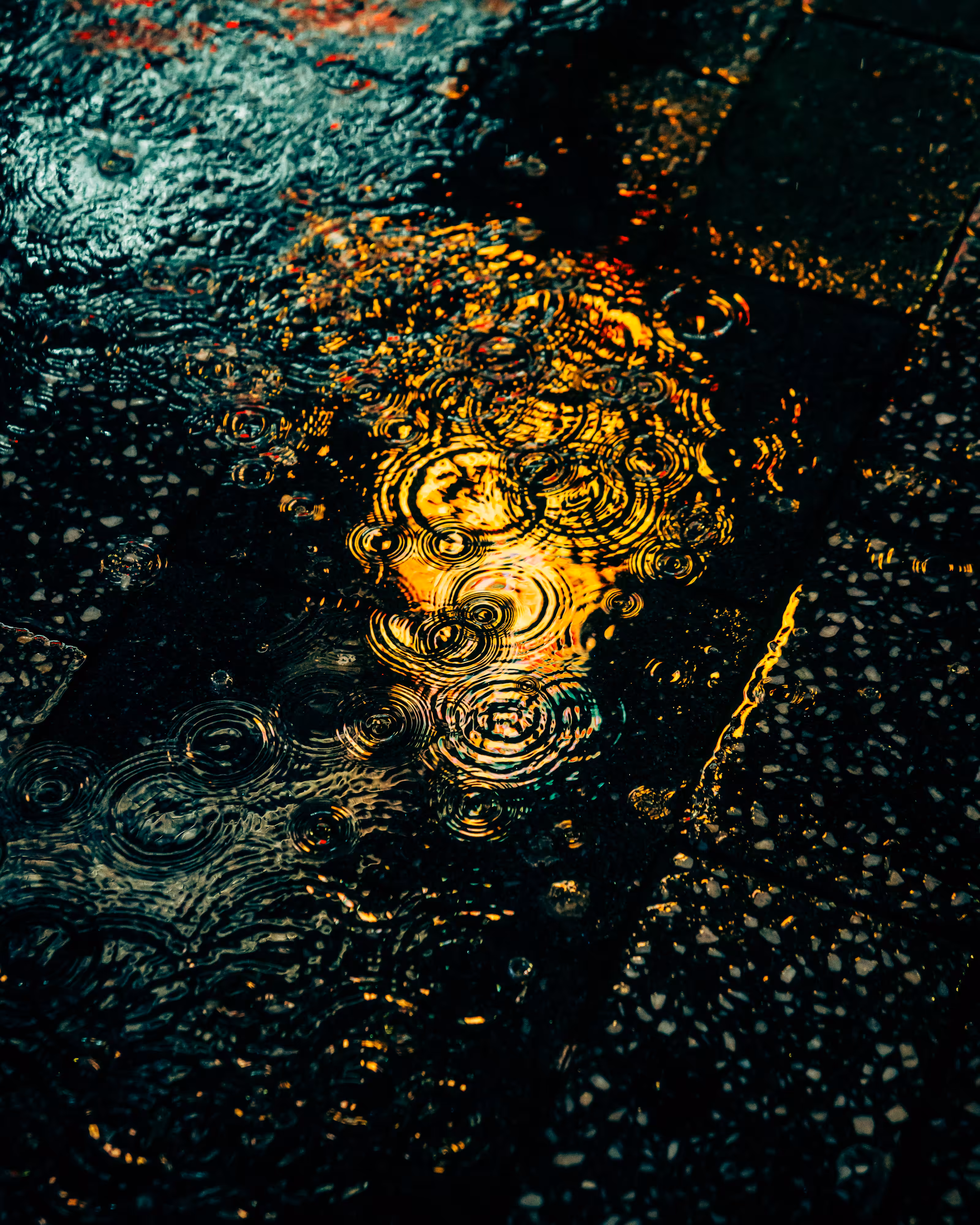 DRIP #603