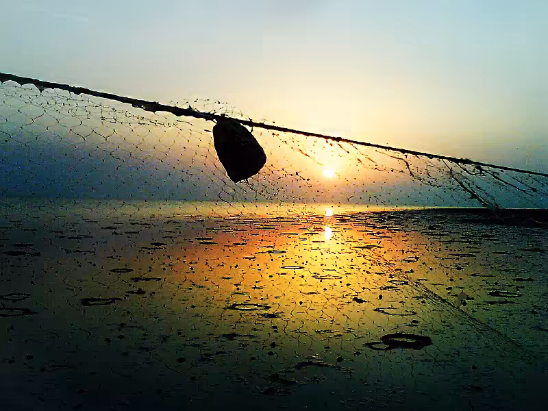 summer sunset
