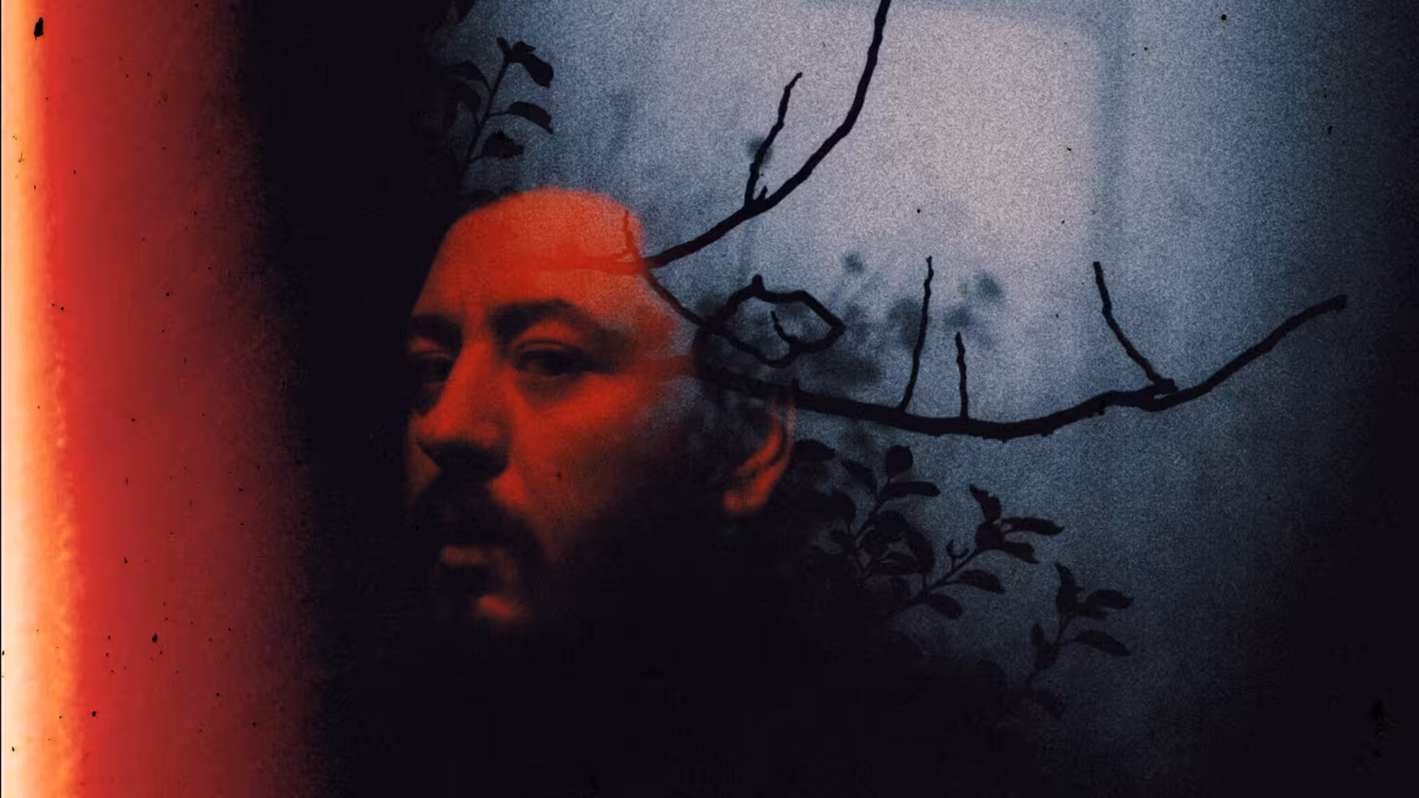 Nocturnal Roots