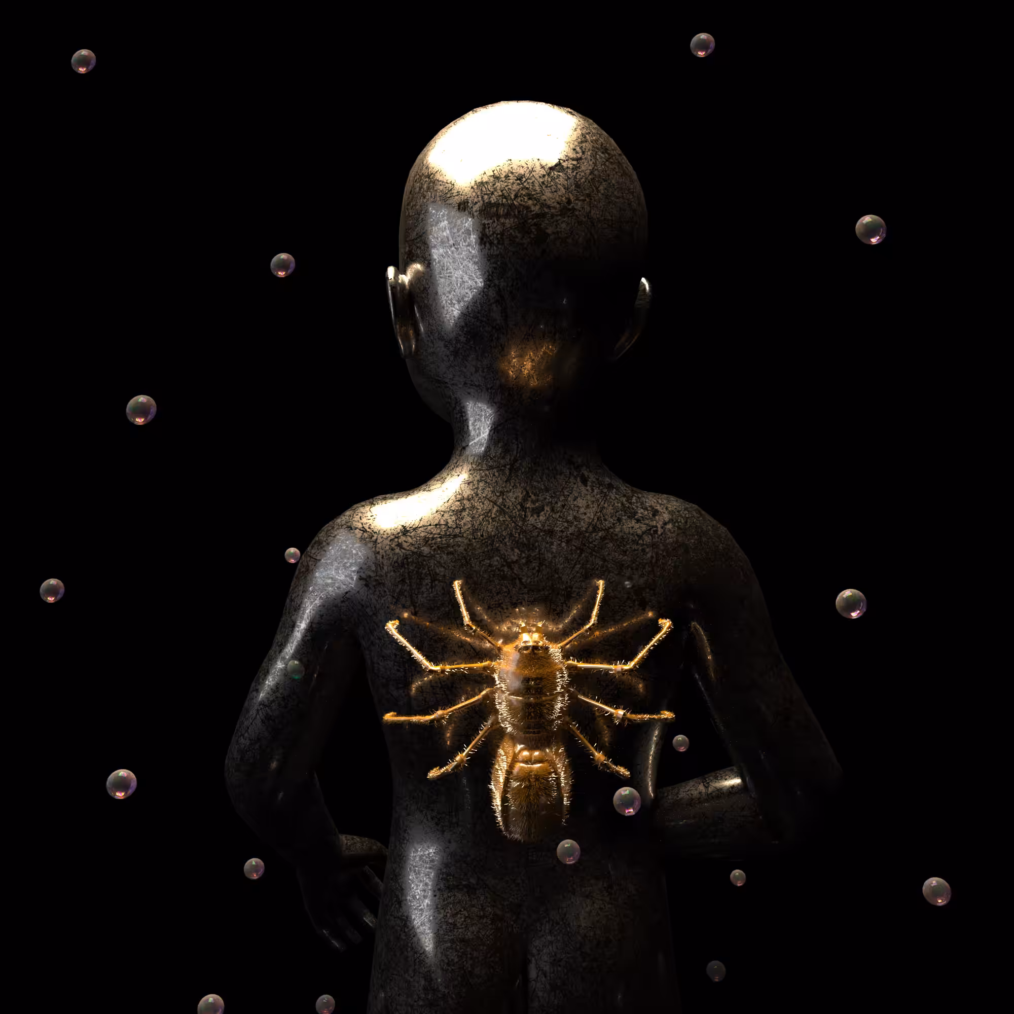 SPIDER'S ANCHOR