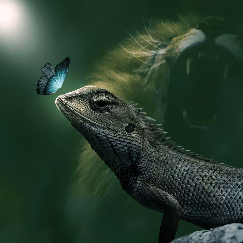 Fantasy Manipulation #56
