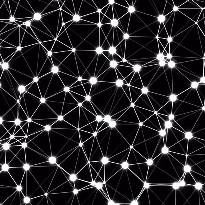 The network
